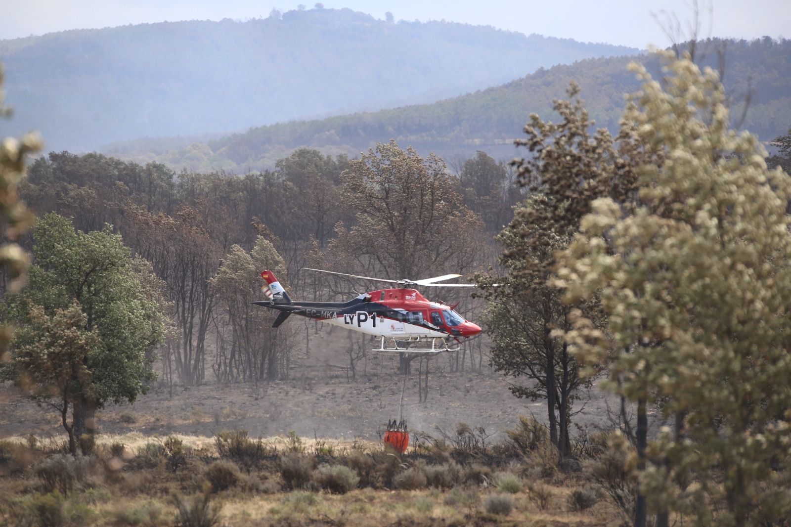 las-desoladoras-imagenes-de-la-sierra-de-la-culebra-tras-el-incendio-2
