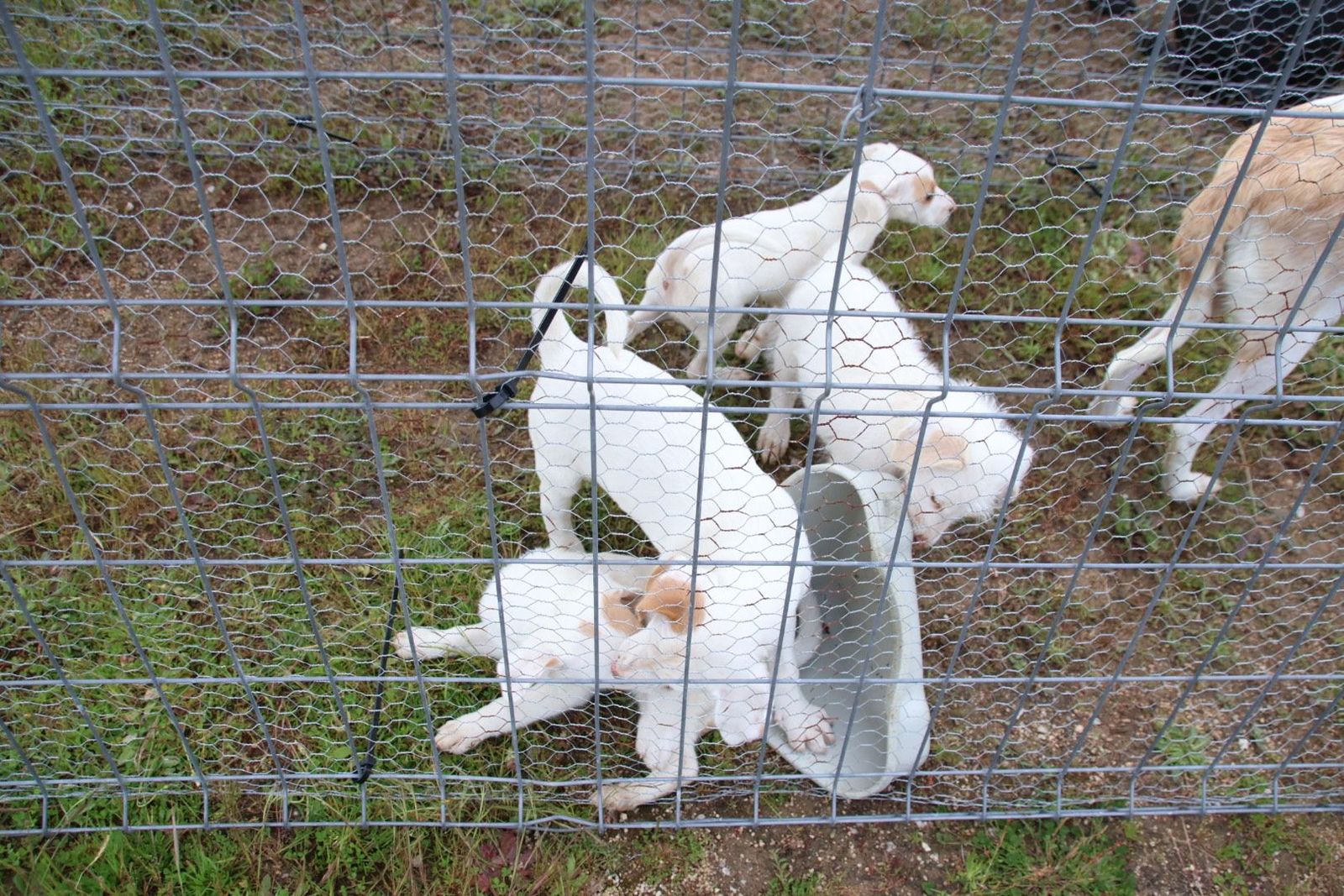 20240501104330-img-2965