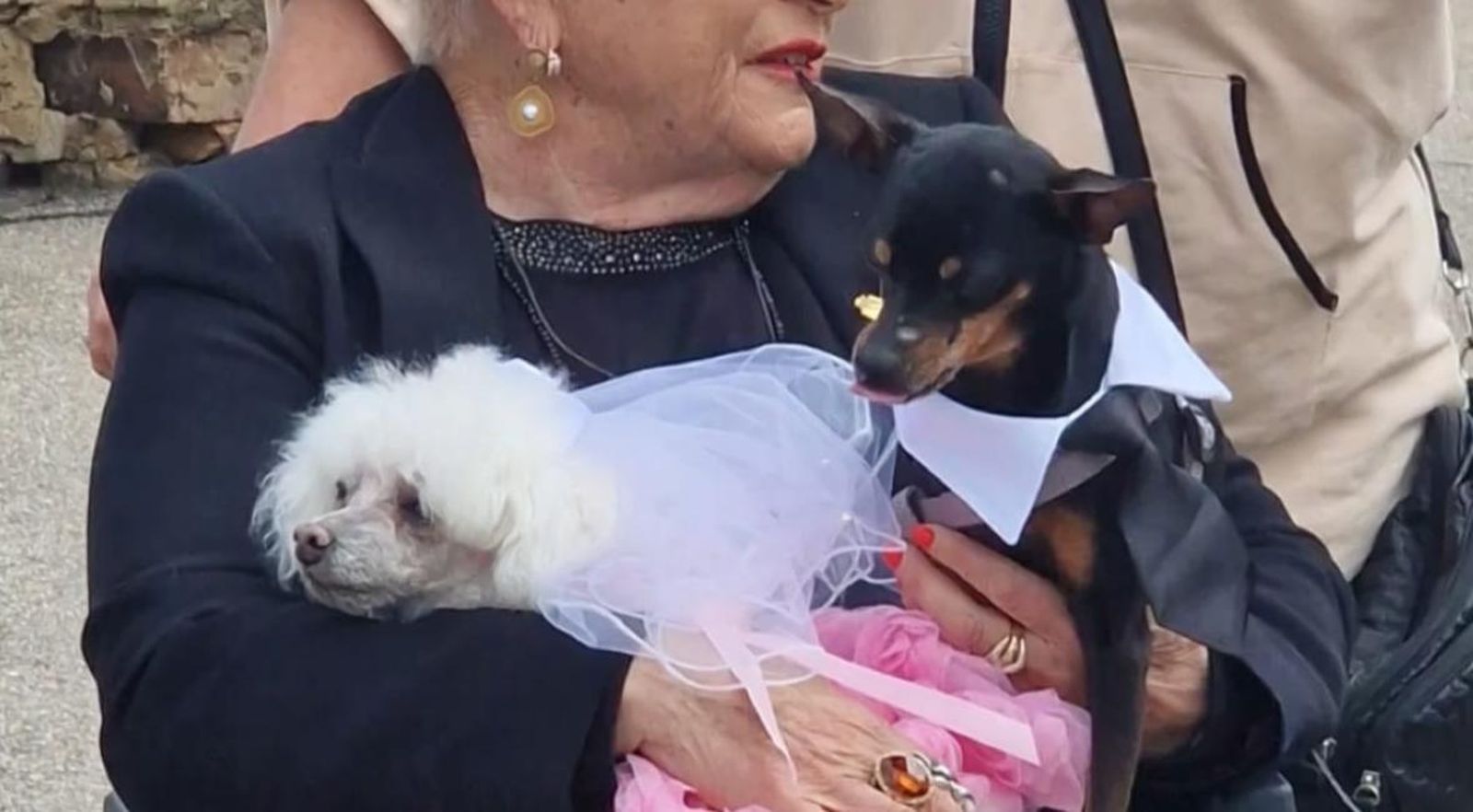 Boda perruna de Chispi y Rojito