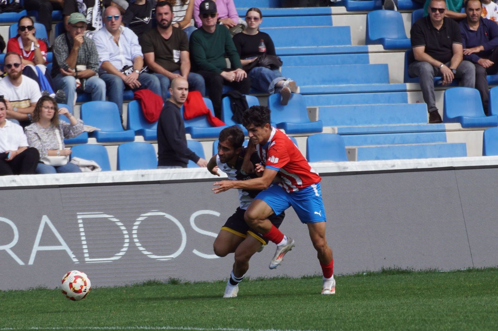 whatsapp-image-2024-10-13-at-14-56-36-2