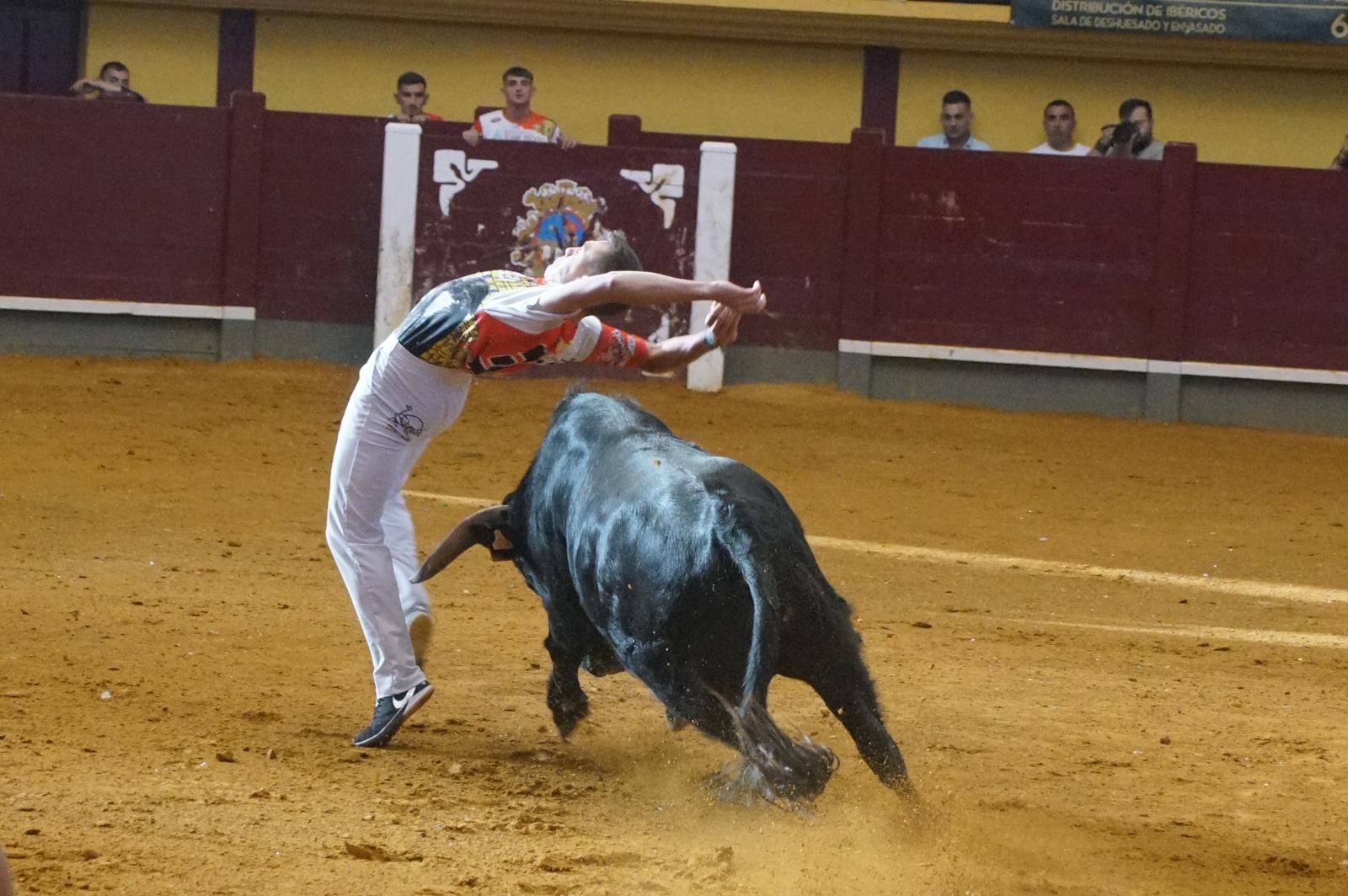 Alba de Tormes celebra un nuevo concurso de cortes