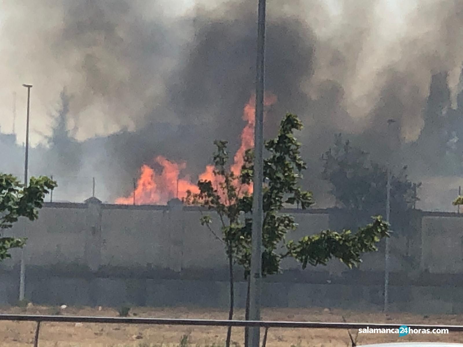 WhatsApp Image 2019 07 23 at 17.44.20 (1)