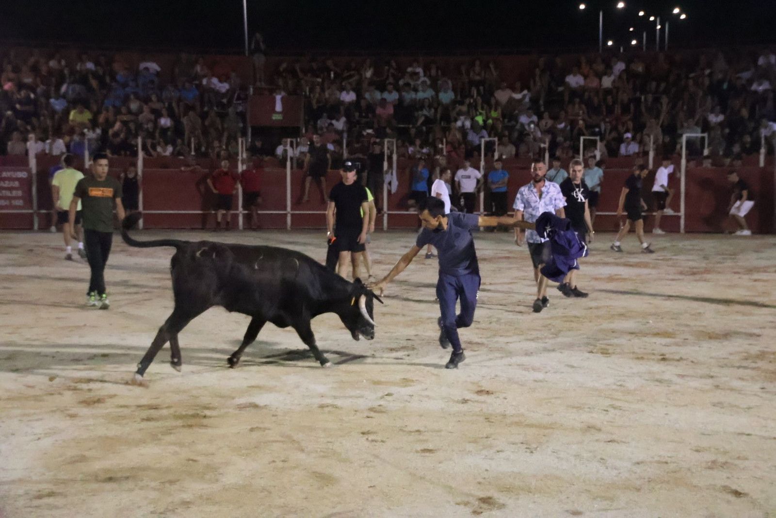 20230812213711-img-1285