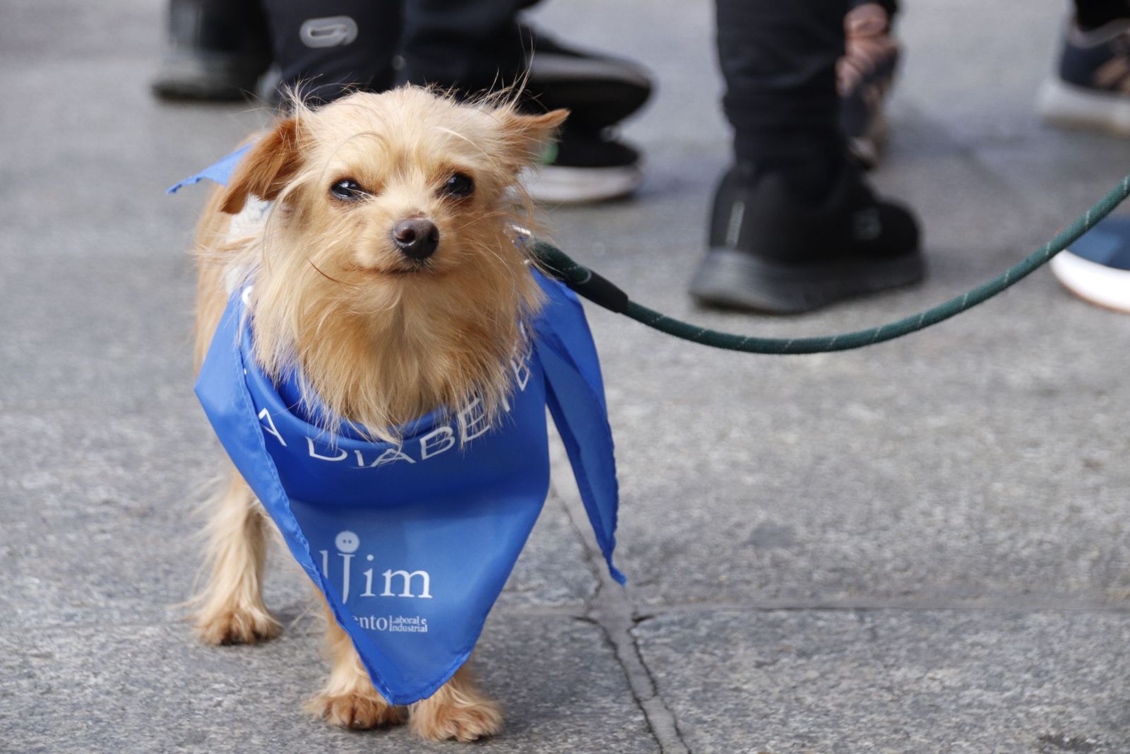 20221112113409-mg-1290