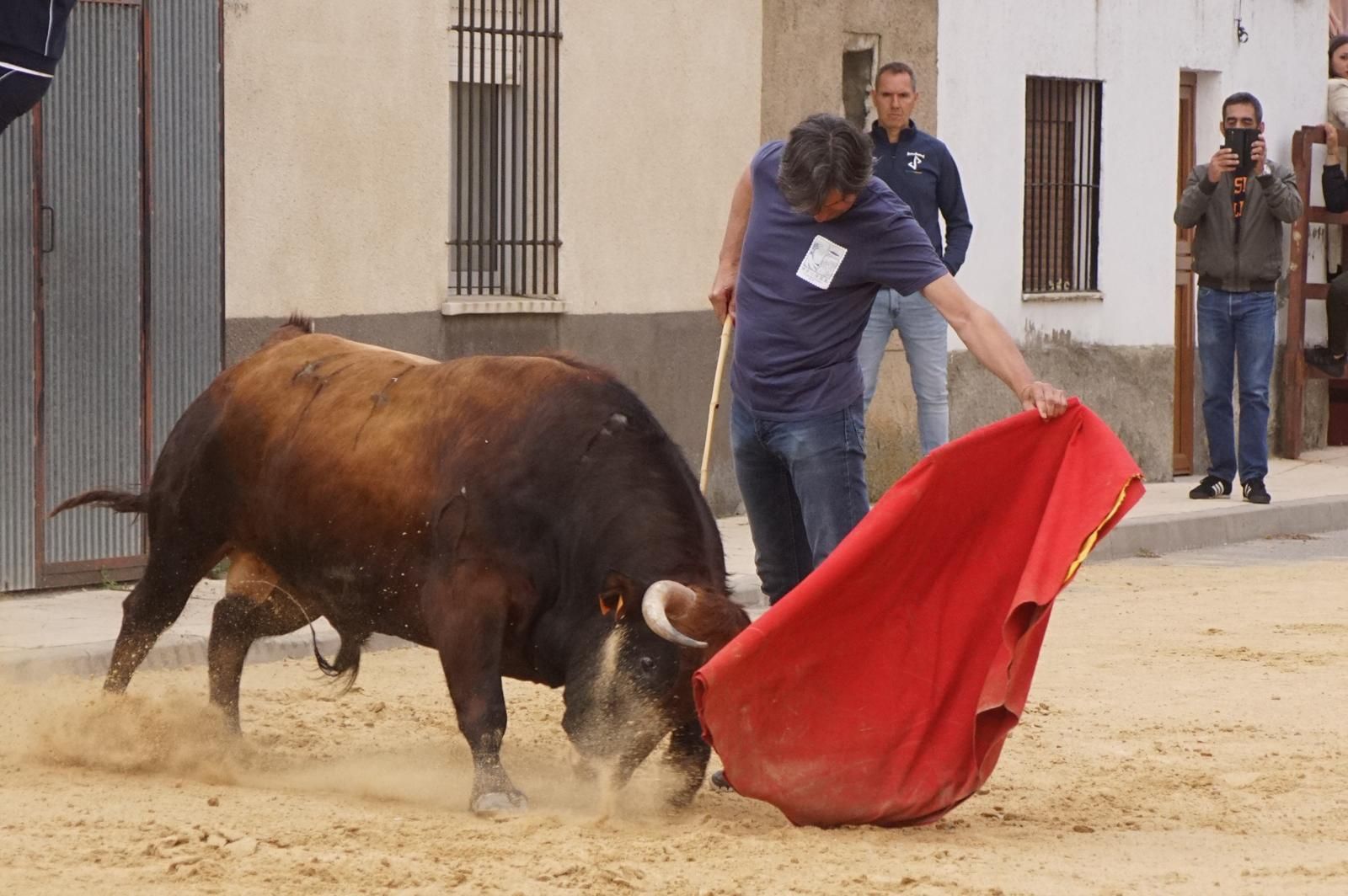 Villoria, toro del Voto