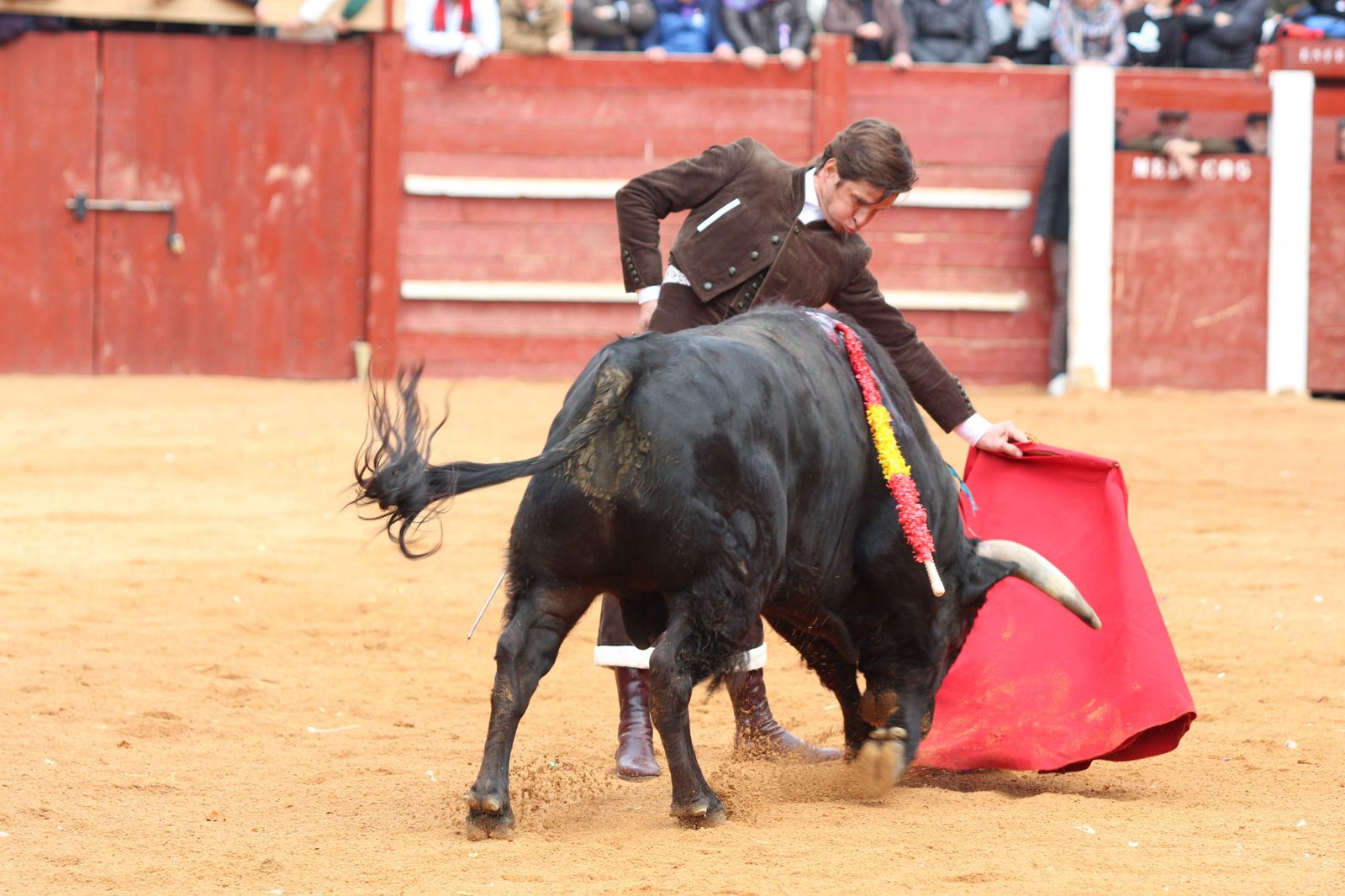 Chaves, El Capea y Pérez Pinto abren la Puerta Grande en el primer festival del Carnaval de Ciudad Rodrigo de 2023