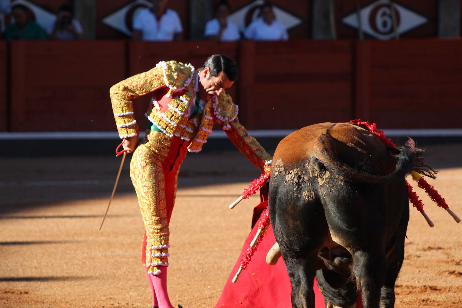 Emilio de Justo, Juan Ortega y Roca Rey inauguran el cartel de figuras en la feria de Salamanca: la corrida de Garcigrande en imágenes