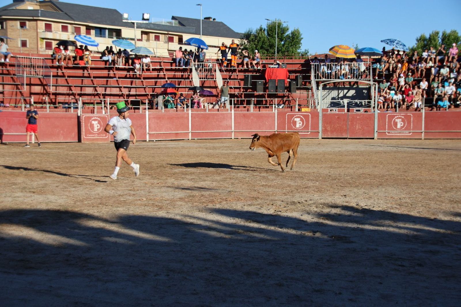 20240816190207-img-4001