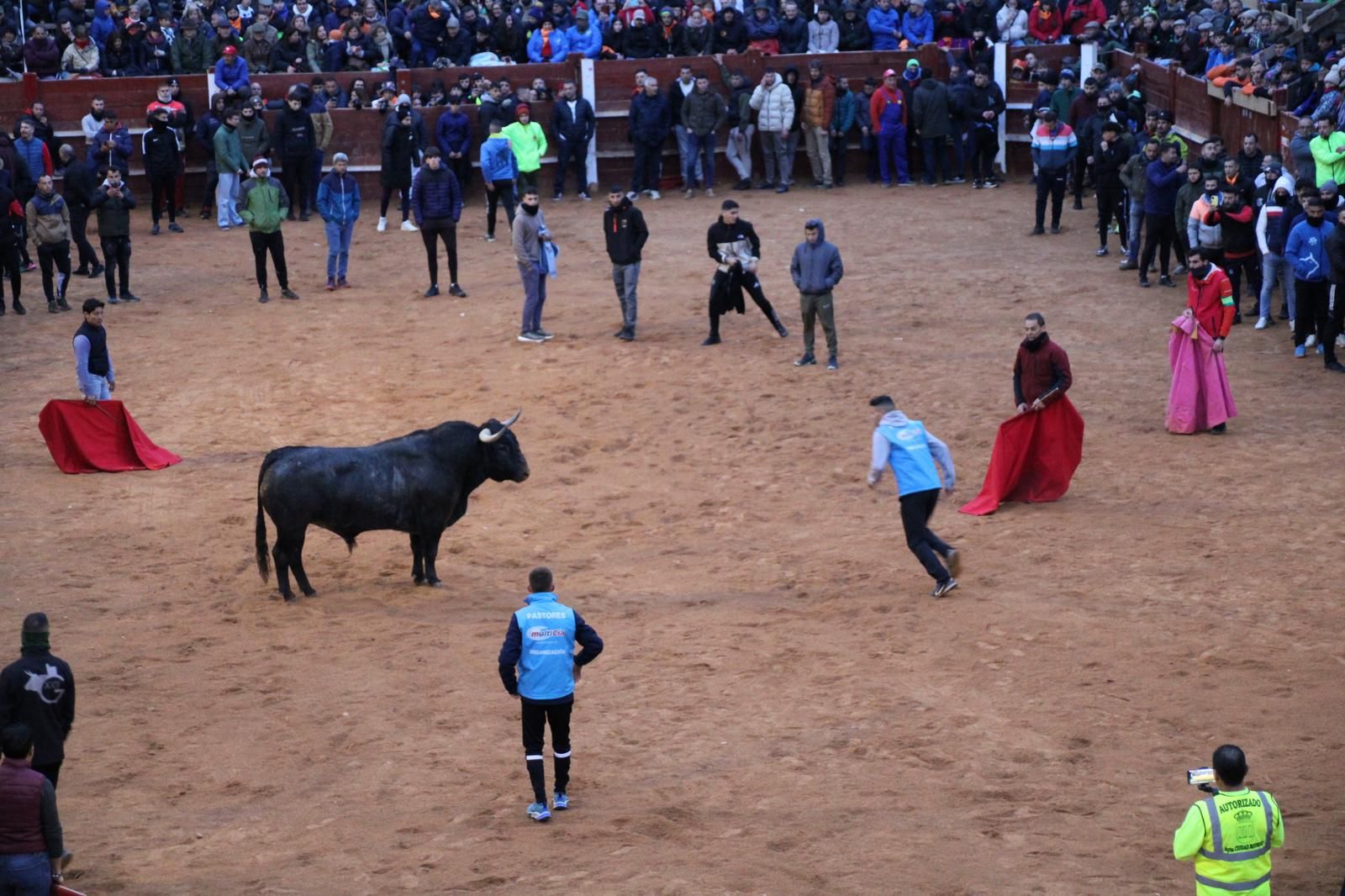 whatsapp-image-2025-03-02-at-19-32-41-3