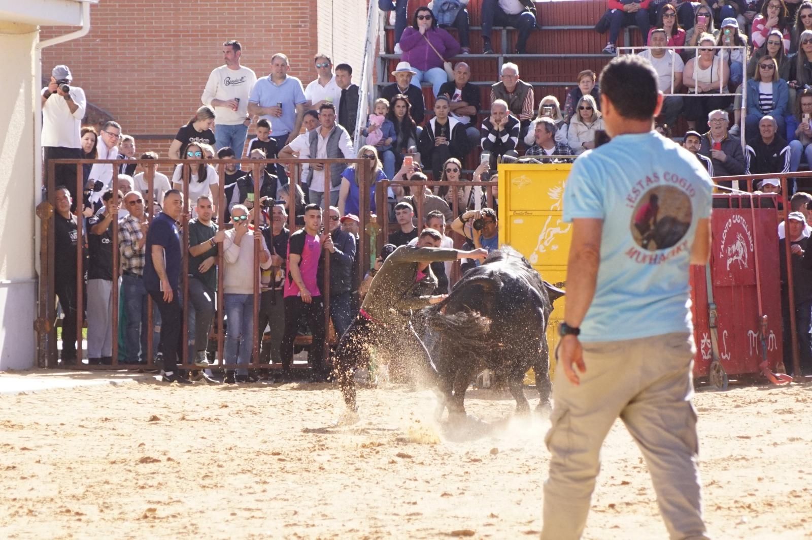 whatsapp-image-2025-04-26-at-19-02-16-1