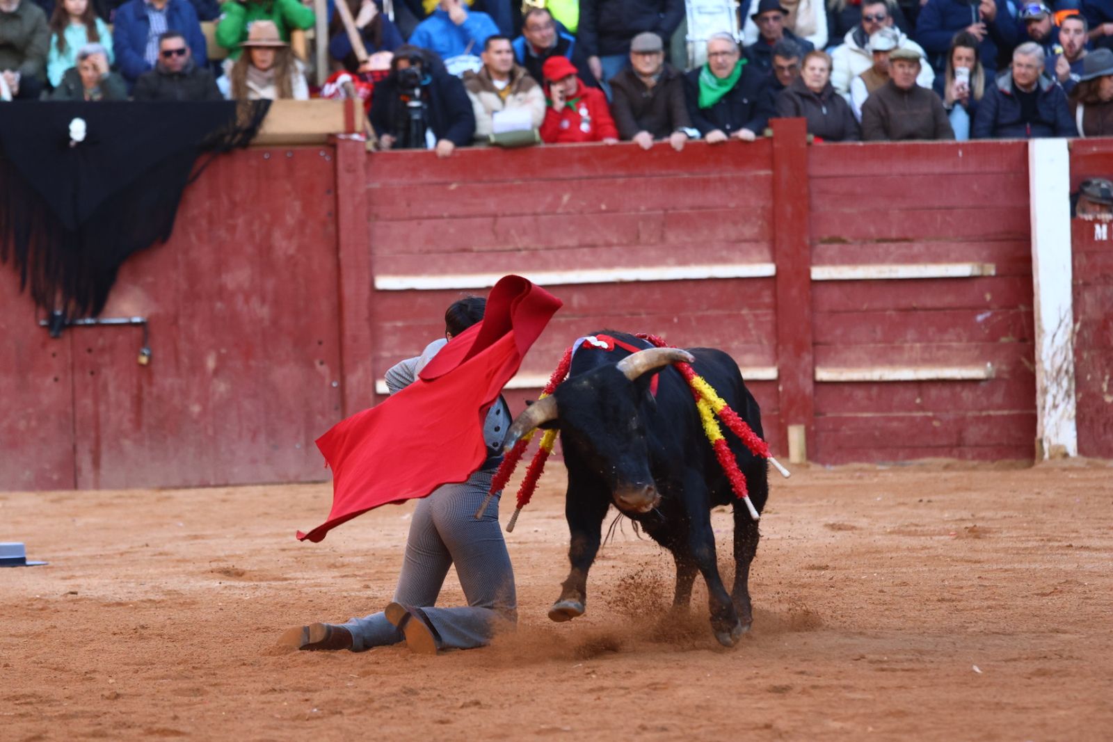 Festival del martes en el Carnaval del Toro 2026
