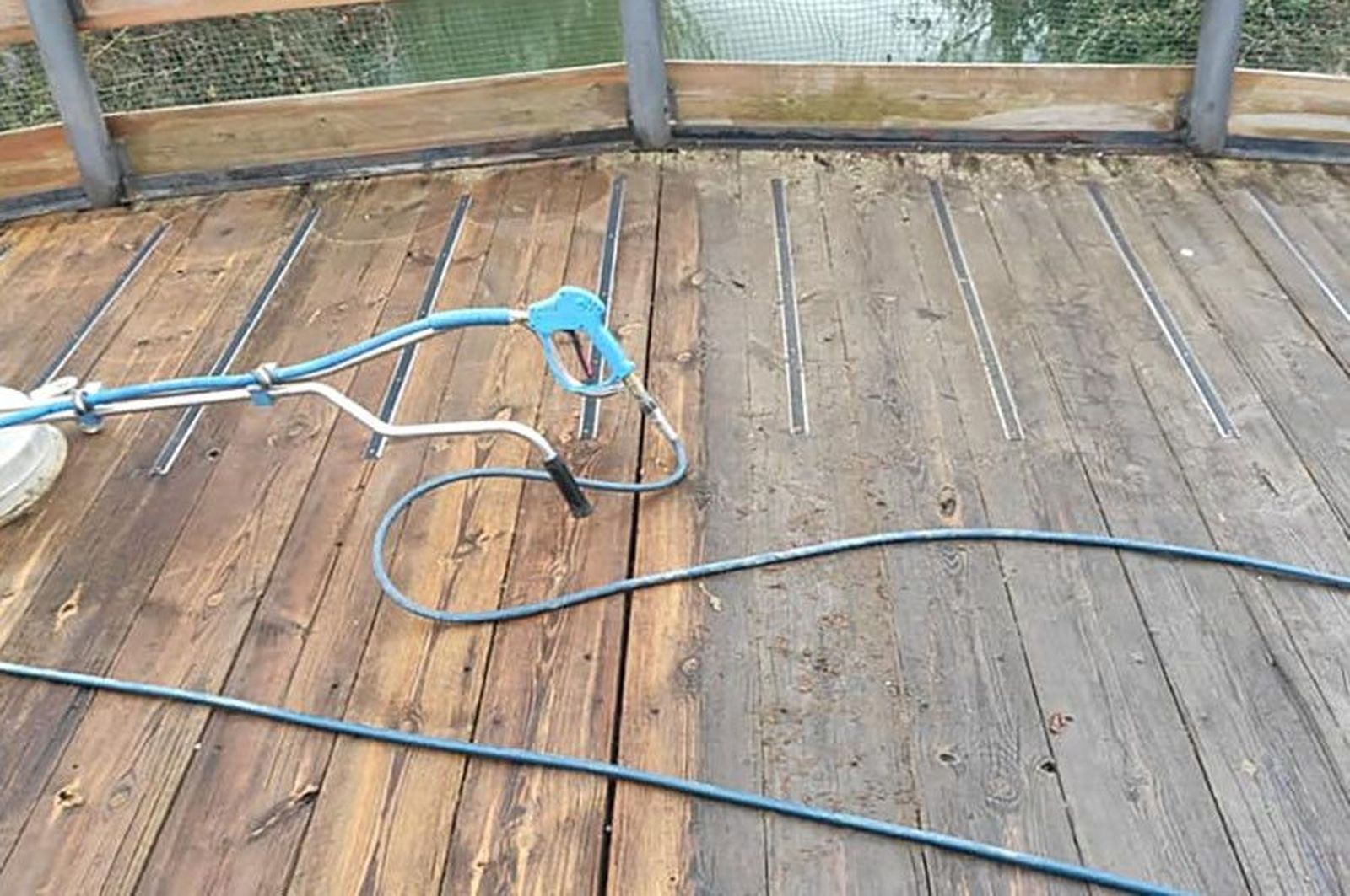 131901683 3060089107604931 621856452628002786 n