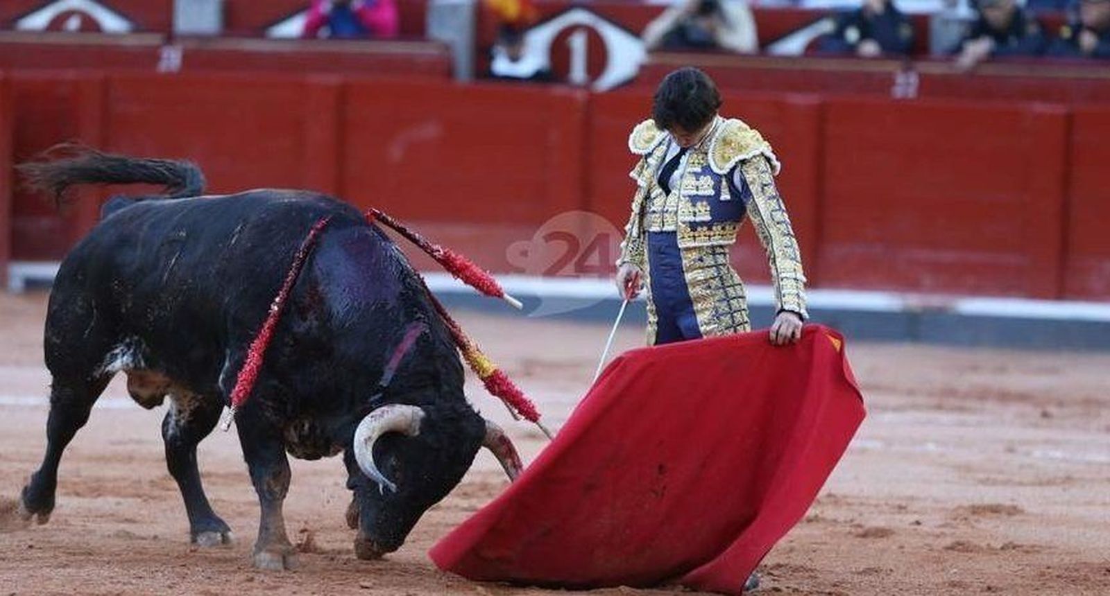 Puerta Grande para Juan del Álamo en Pontevedra Puerta Grande para Juan del Álamo en Pontevedra
