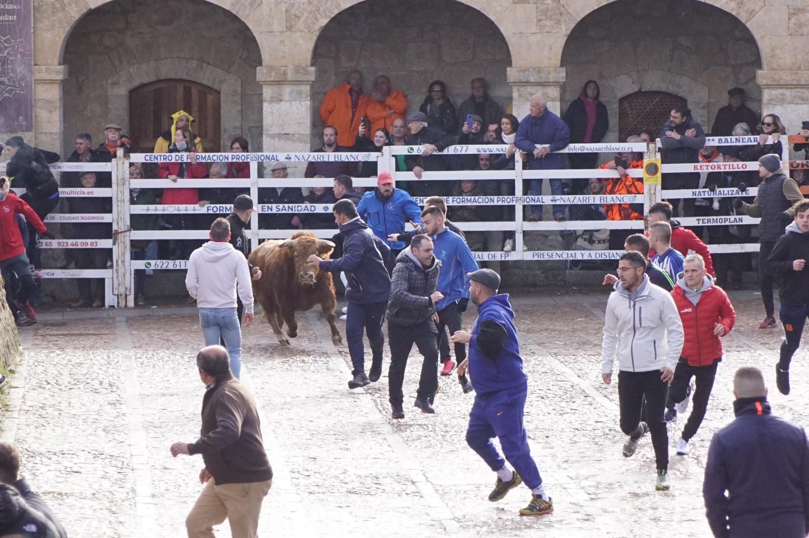 ambiente-encierro-urbano-lunes-de-carnaval-en-ciudad-rodrigo-12-de-febrero-de-2024-fotos-s24h-14