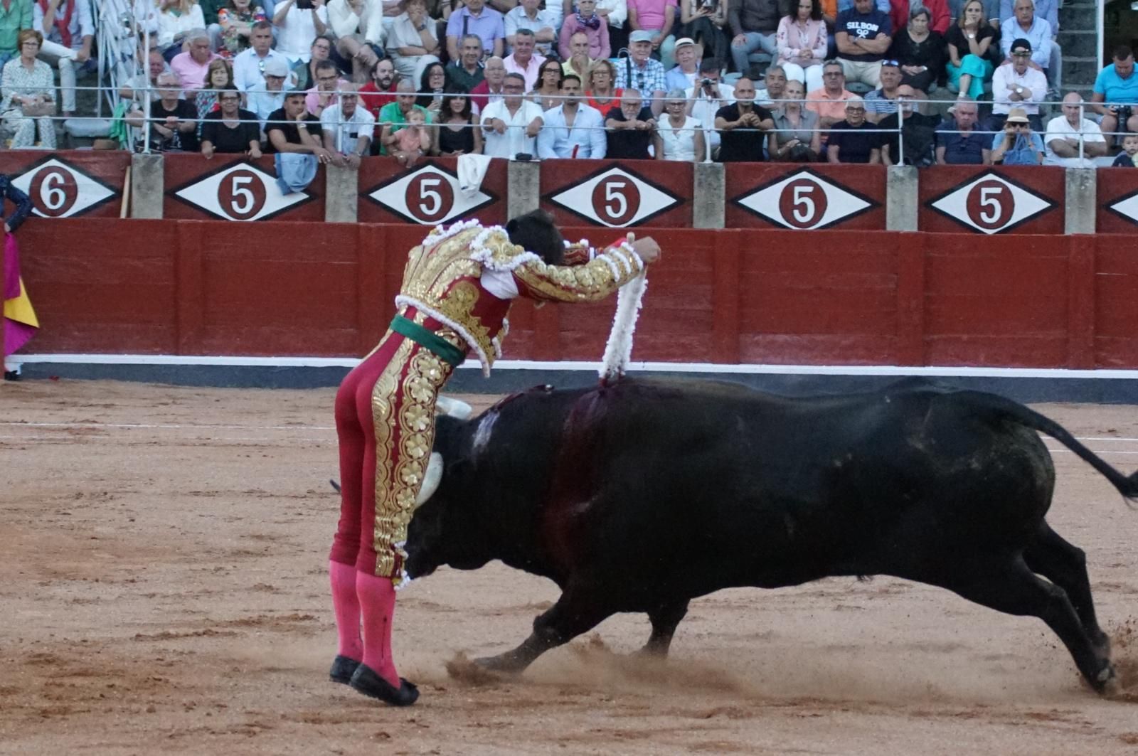 Presencia salmantina por partida doble en la primera corrida de la feria: Damián Castaño e Ismael Martín junto al mexicano Diego San Román