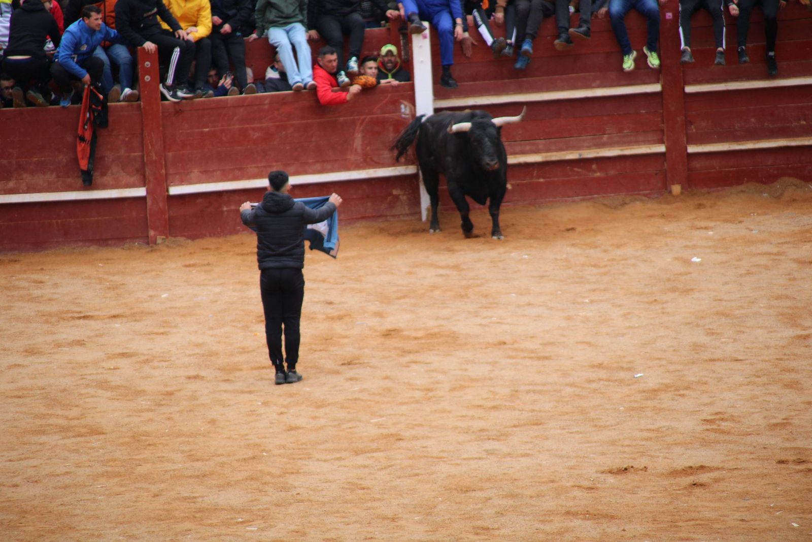 whatsapp-image-2025-03-01-at-13-18-52