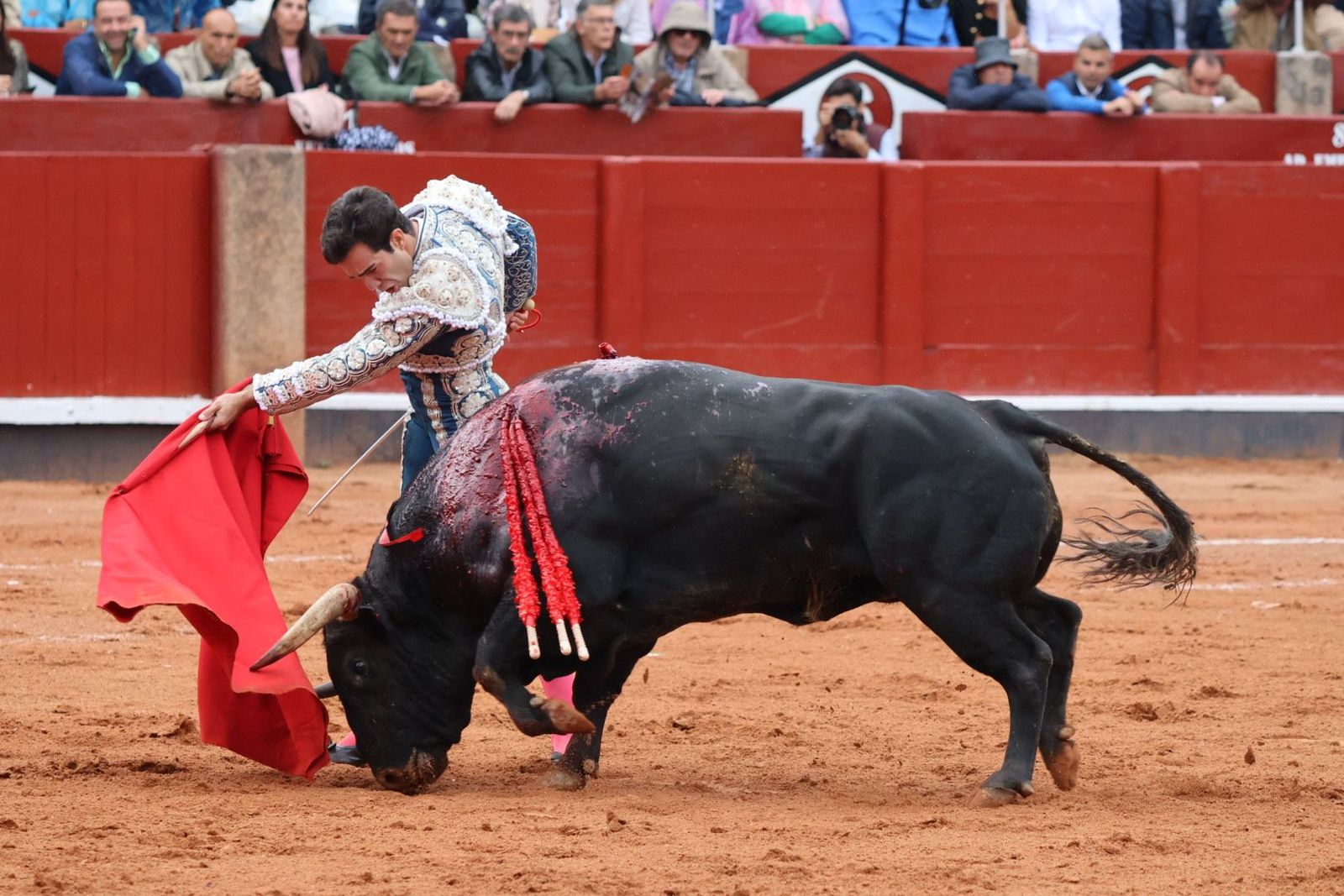 20230916175820-img-5404