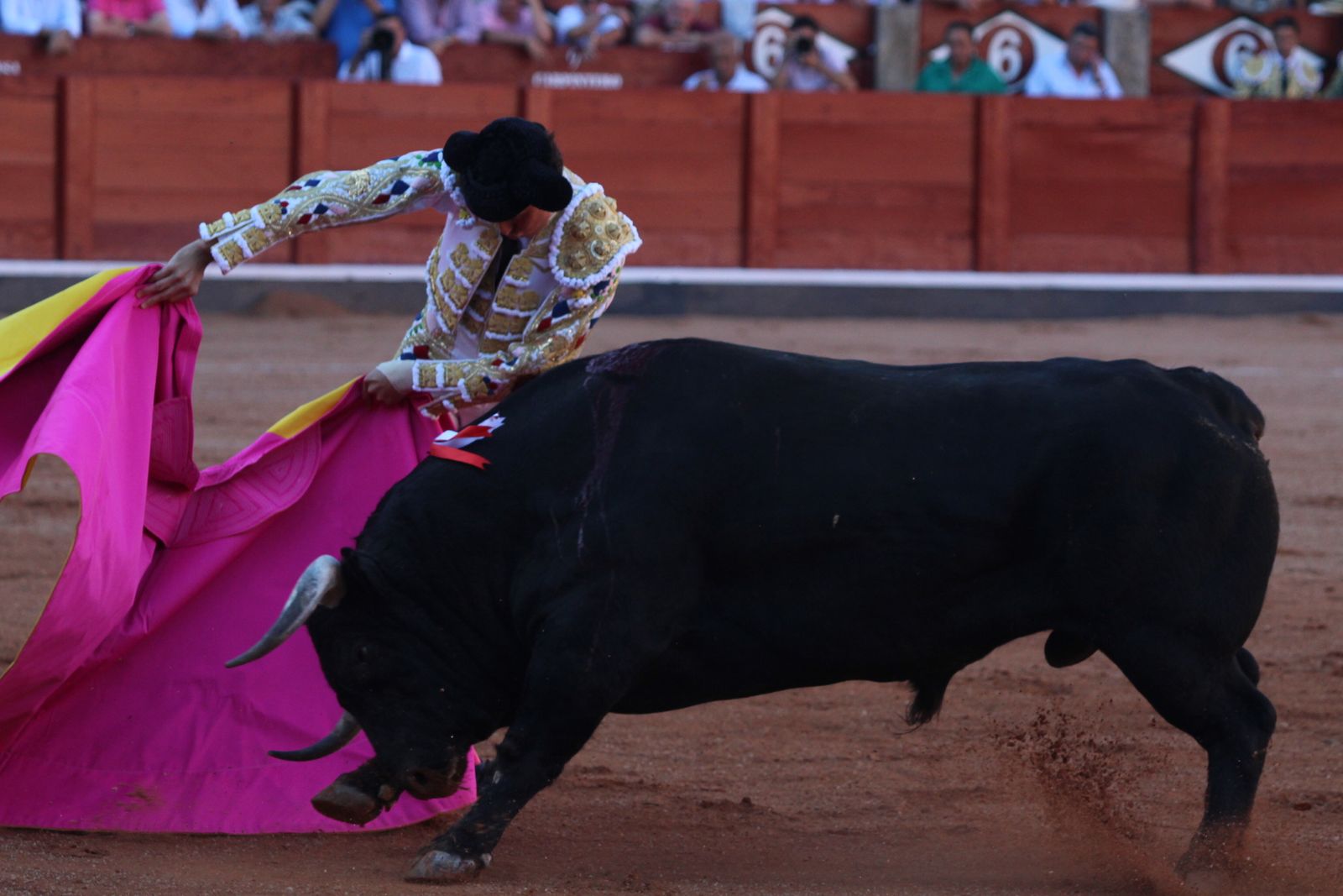 Emilio de Justo, Juan Ortega y Roca Rey inauguran el cartel de figuras en la feria de Salamanca: la corrida de Garcigrande en imágenes
