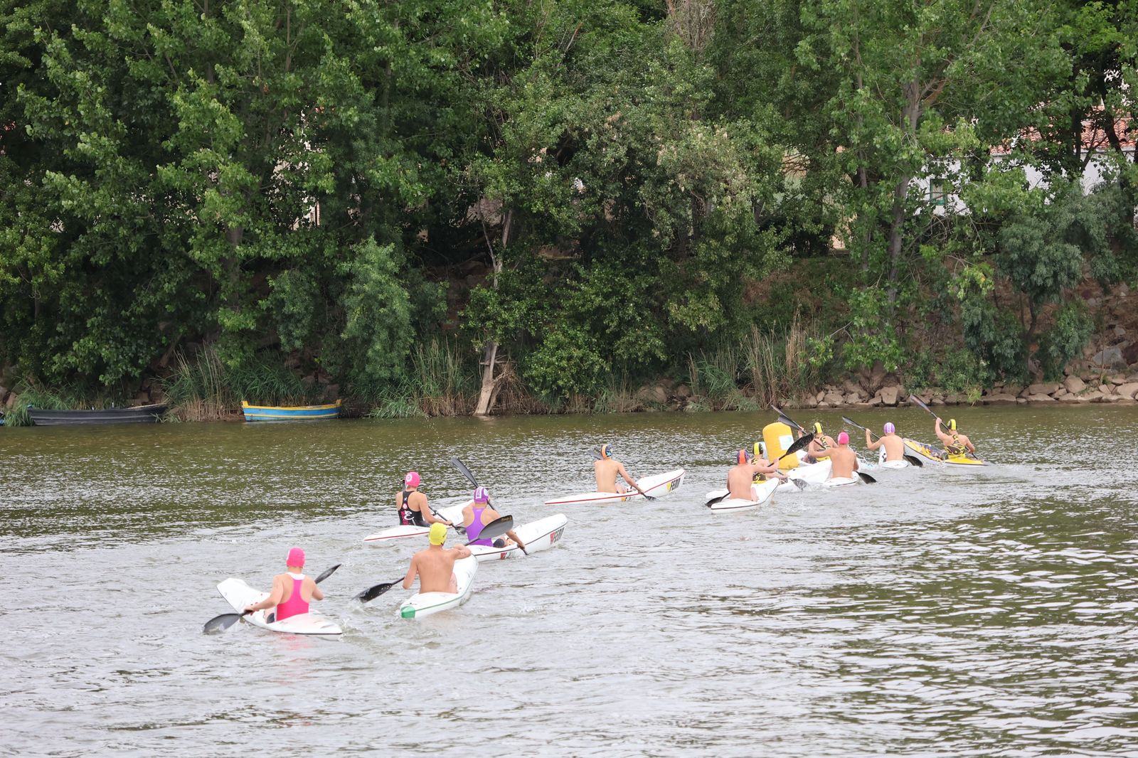 img-2254