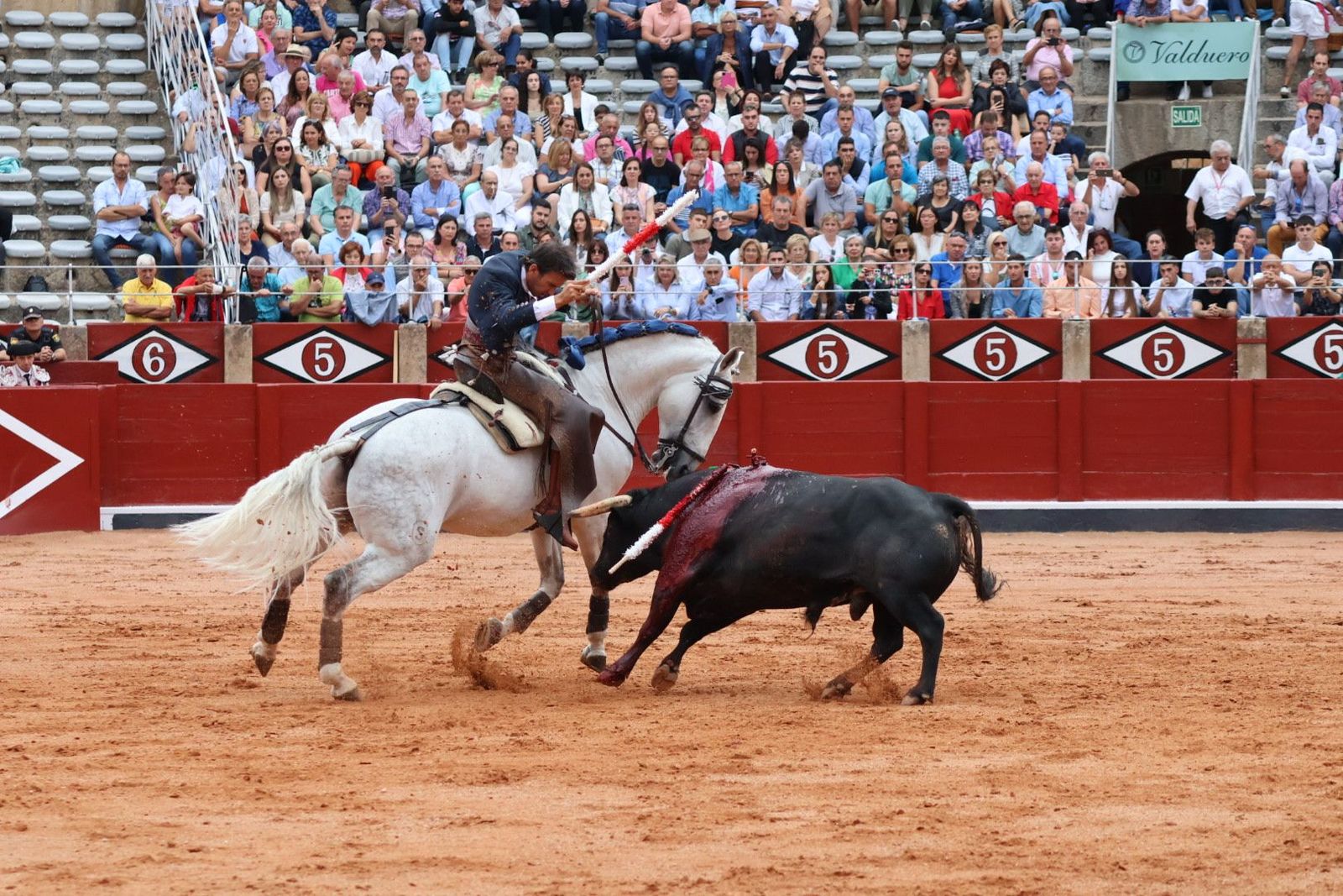 20230909174308-img-0531