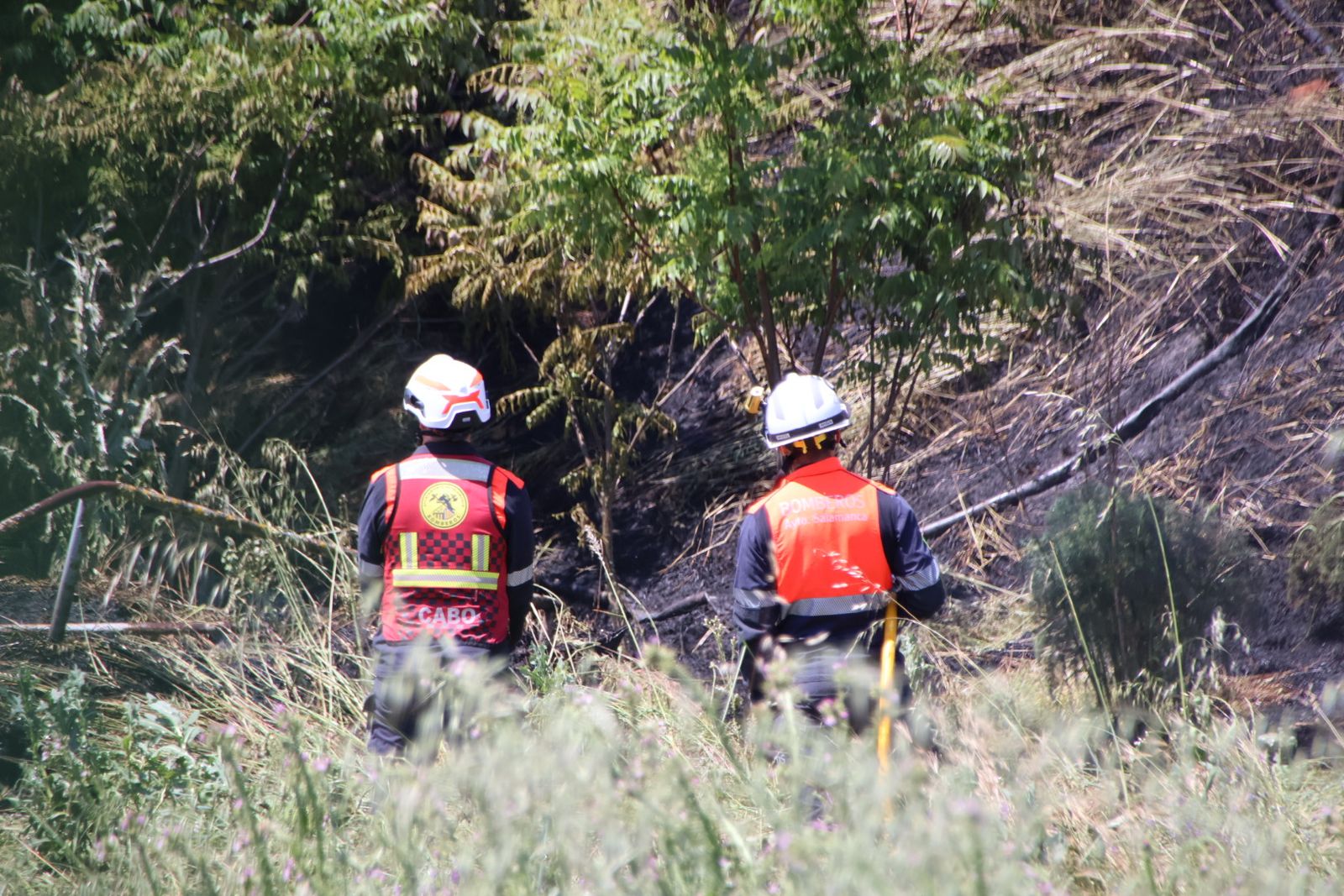 Un incendio de pasto moviliza a varios efectivos de emergencias y corta las inmediaciones de la avenida de La Aldehuela