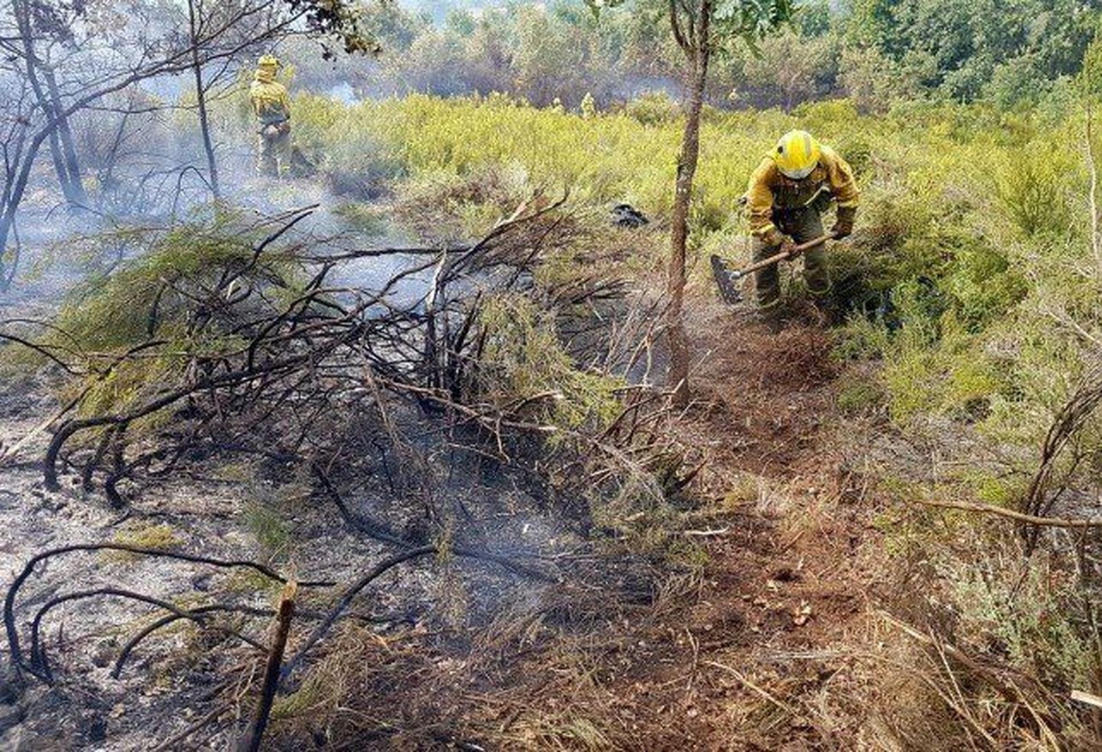Abierta una investigación para identificar al pirómano de Fabero