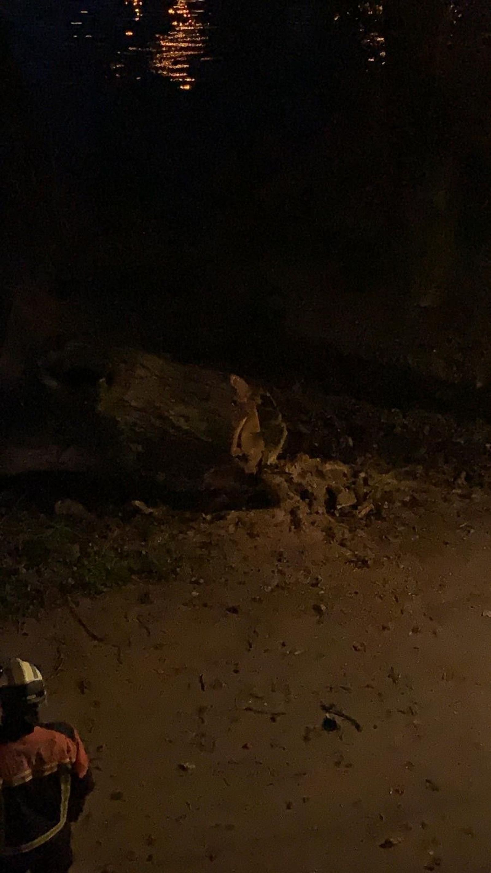 WhatsApp Image 2021 01 22 at 19.11.56