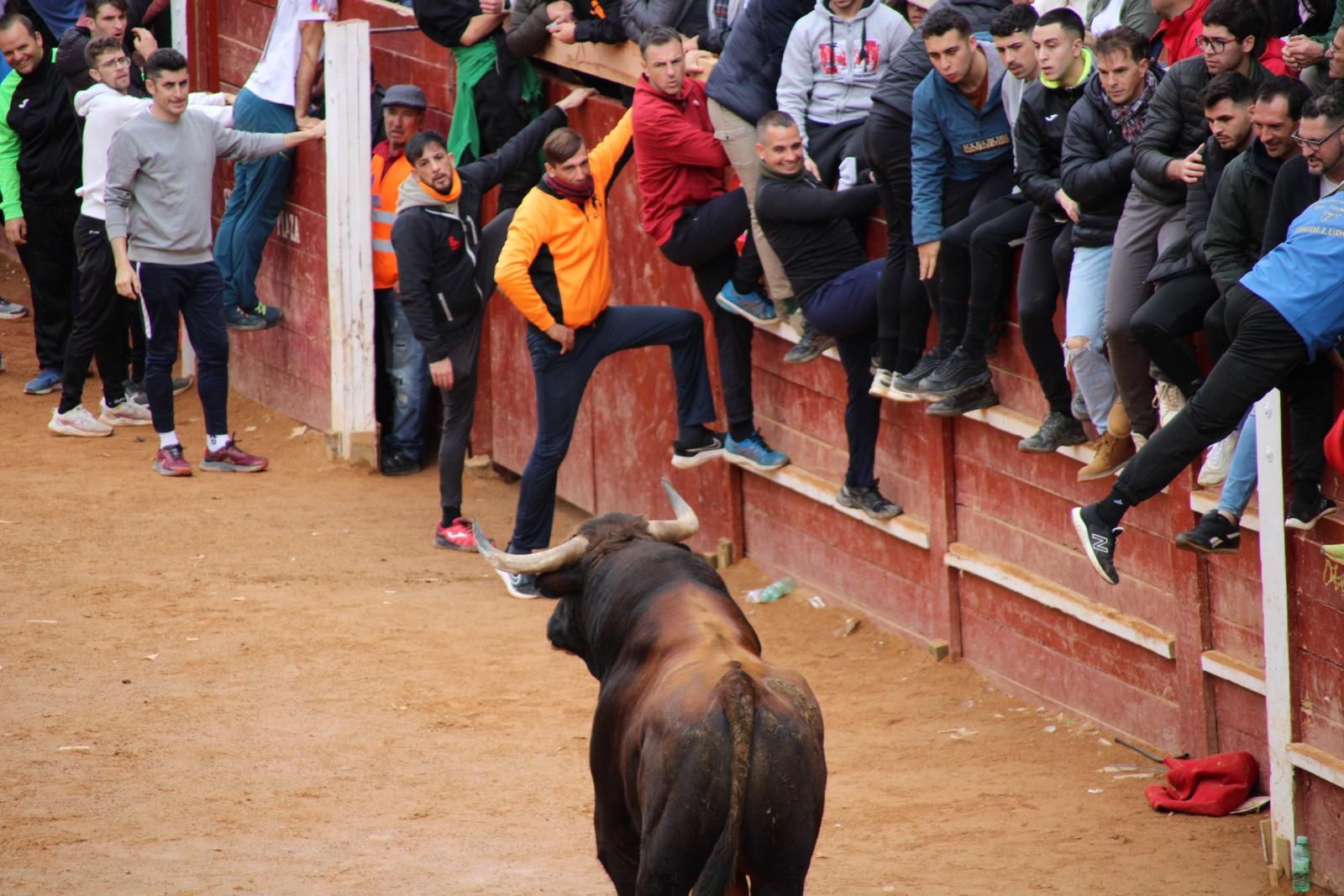 capea-matutina-del-martes-de-carnaval-28