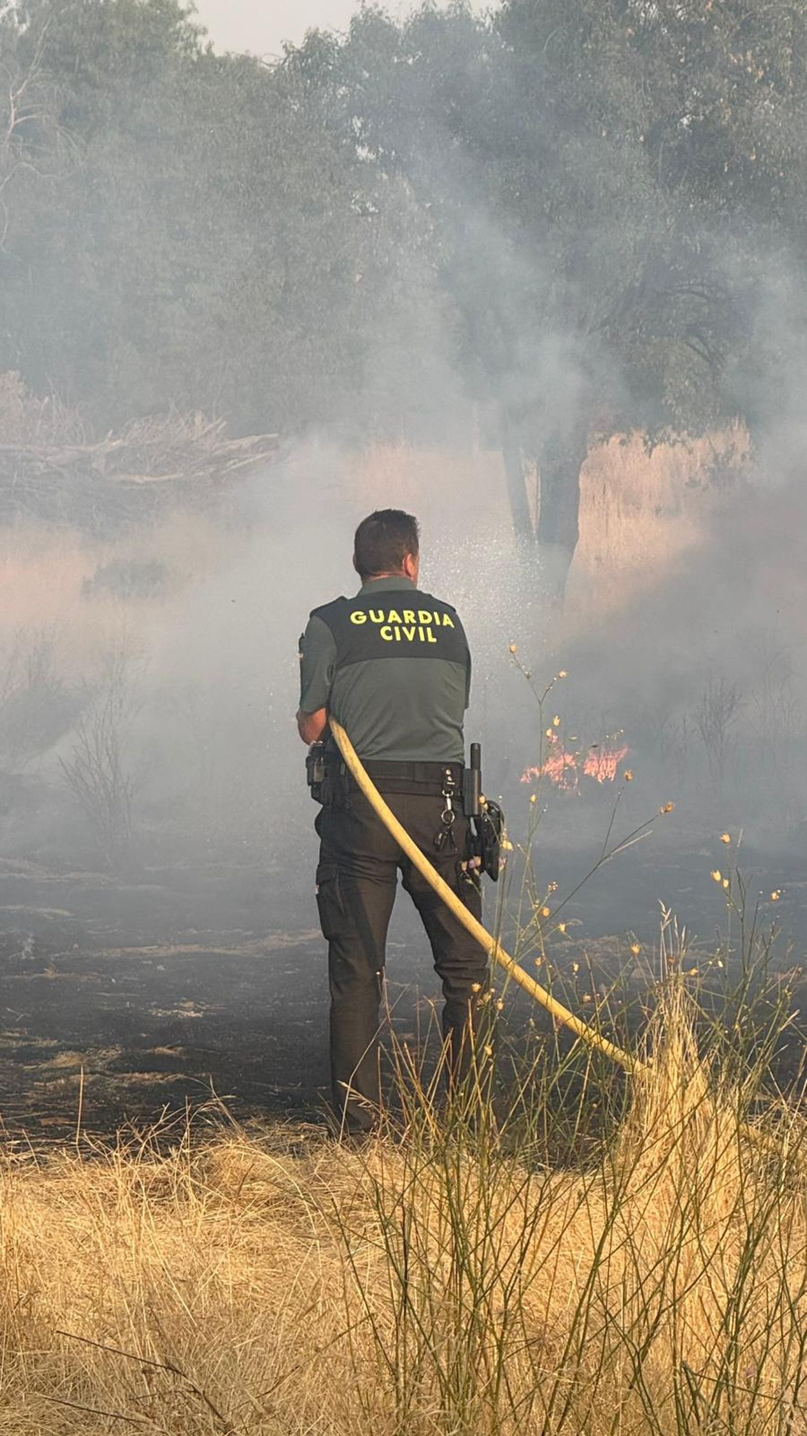 Incendio en Cabrerizos