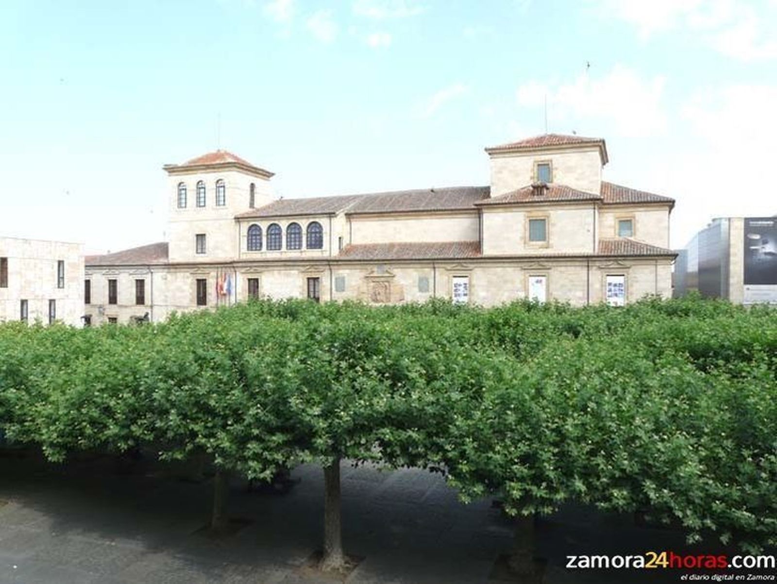 Entregan olivos en Zamora y plantan quejigos micorrizados con trufa en Fuentesaúco para celebrar el Día Forestal Mundial