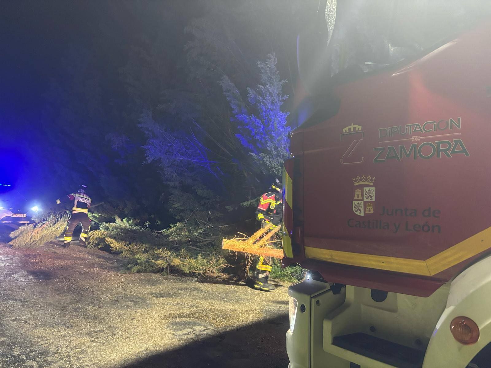 Movilizados los bomberos para retirar un gran árbol caído en una carretera de la provincia