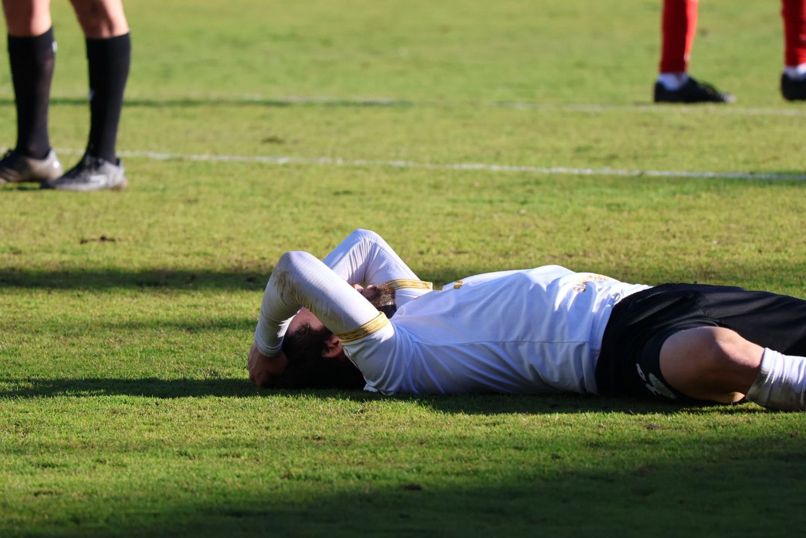 20240121163258-img-1943