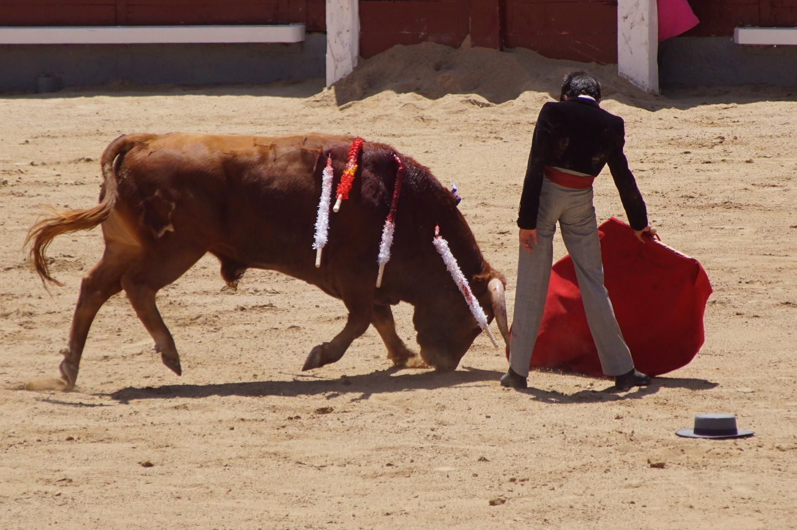 marco-perez-estreno-de-oro-en-las-ventas-5