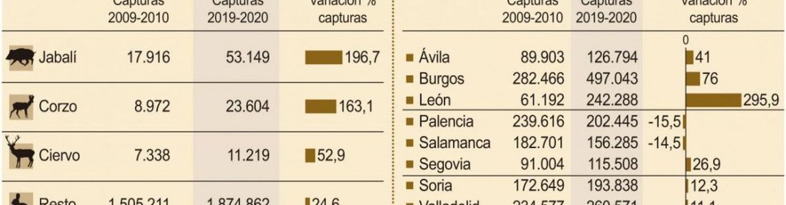 Capturas de animales salvajes