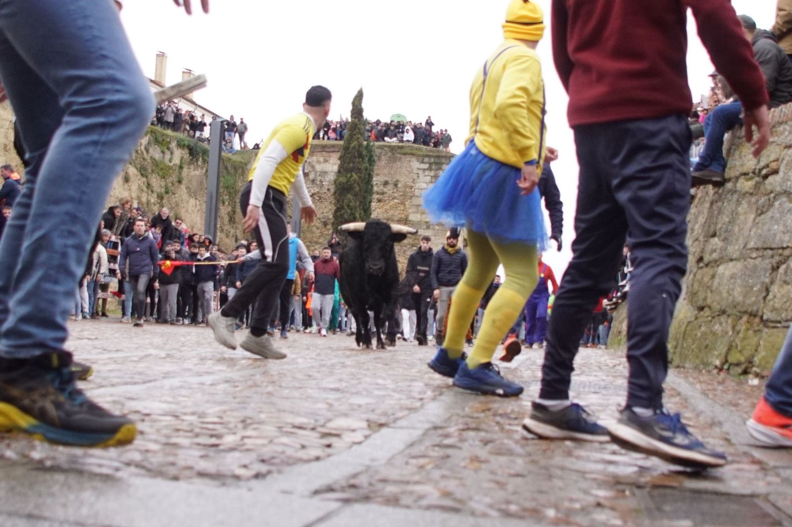 Capea matinal de domingo de carnaval en Ciudad Rodrigo (14).jpeg