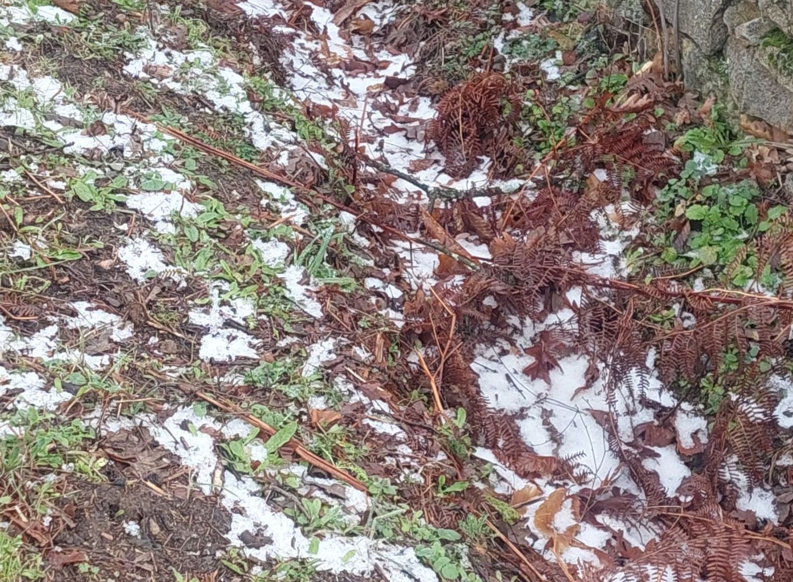 whatsapp-image-2024-02-10-at-17-50-52