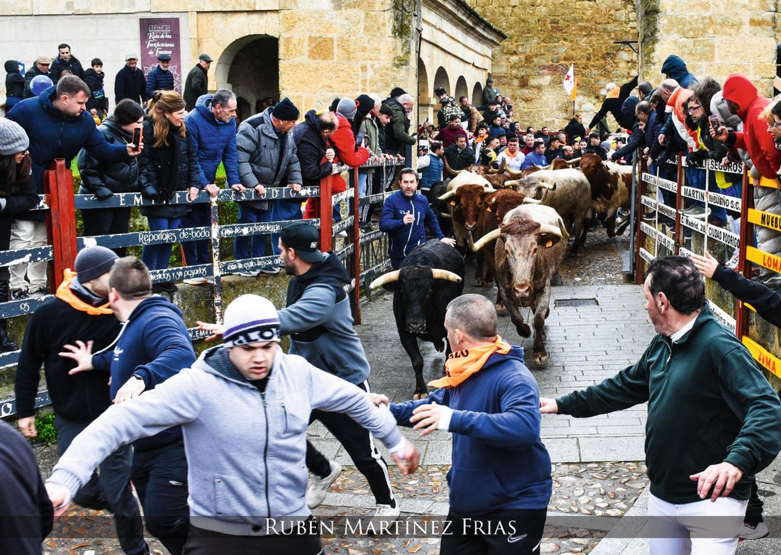 Fotografías seleccionadas para el calendario del Carnaval del Toro  (12).jpeg