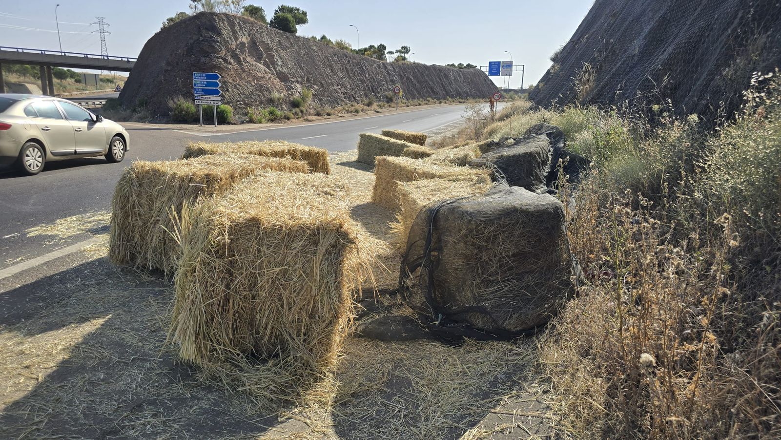 Pacas esparcidas en la rotonda que conecta el Recinto Ferial con Buenos Aires Pacas esparcidas en la rotonda que conecta el Recinto Ferial con Buenos Aires