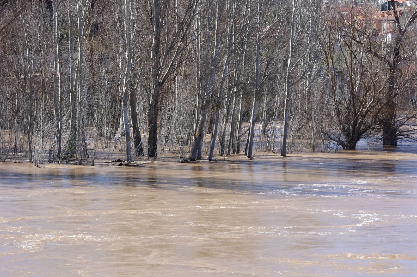 GALERÍA | El Duero muestra su fuerza con una importante crecida tras las lluvias