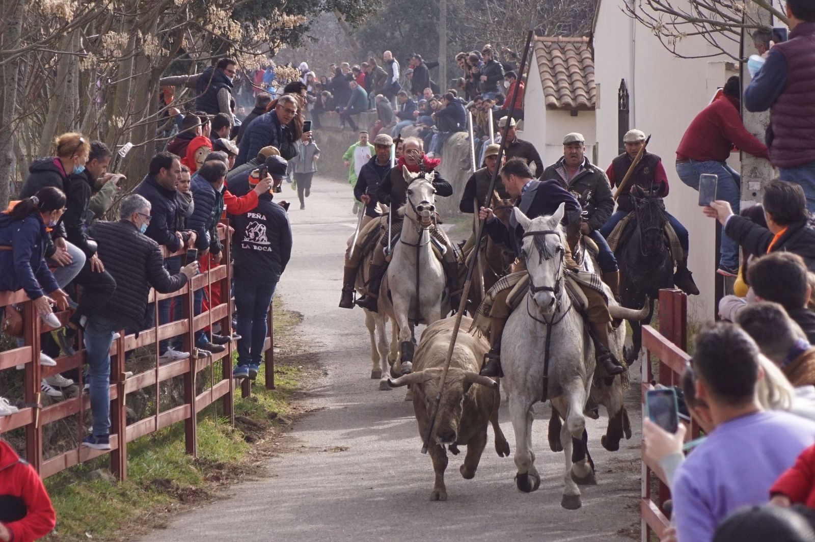 Encierro a caballo carnaval Ciudad Rodrigo 