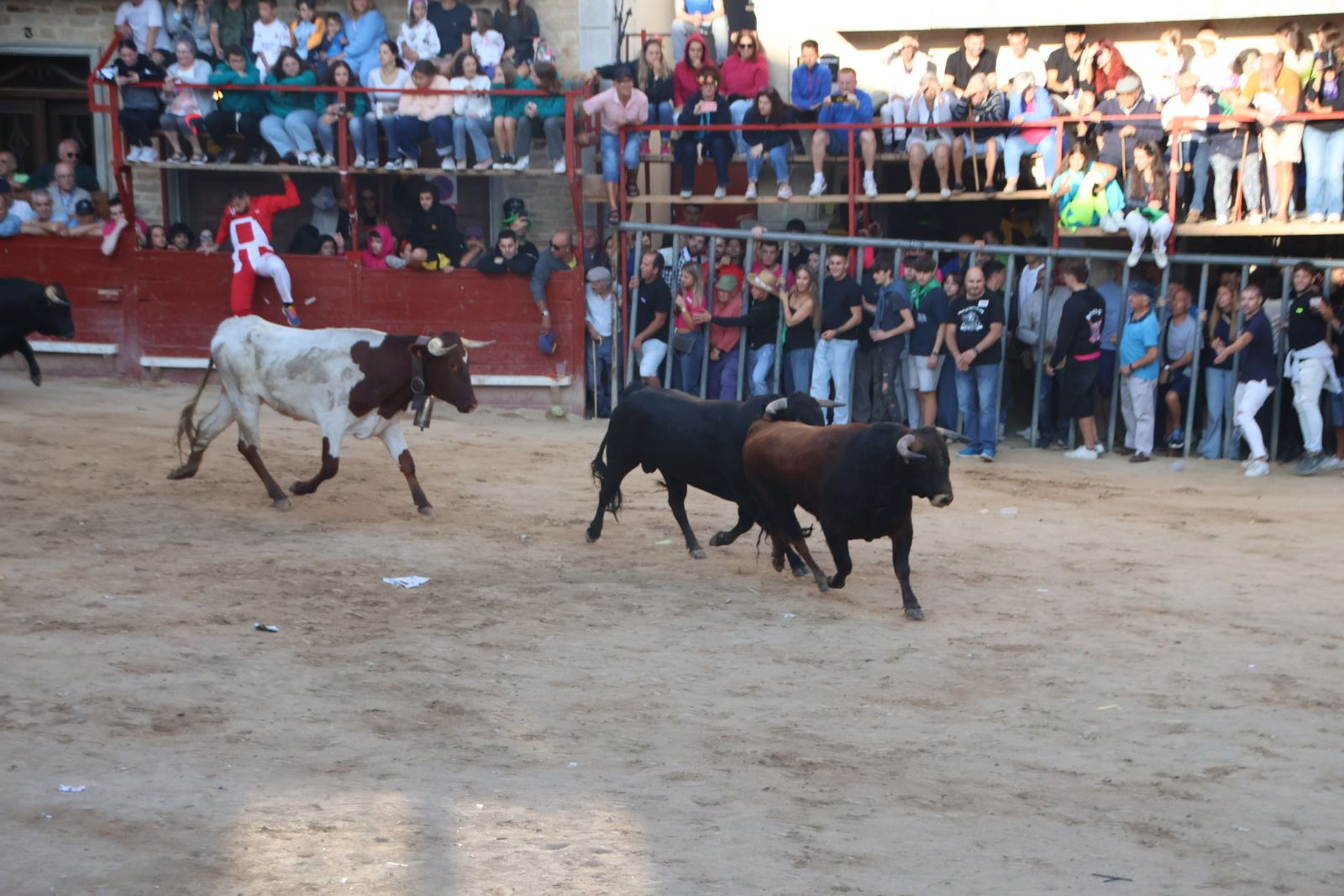 Encierro en Aldeadávila
