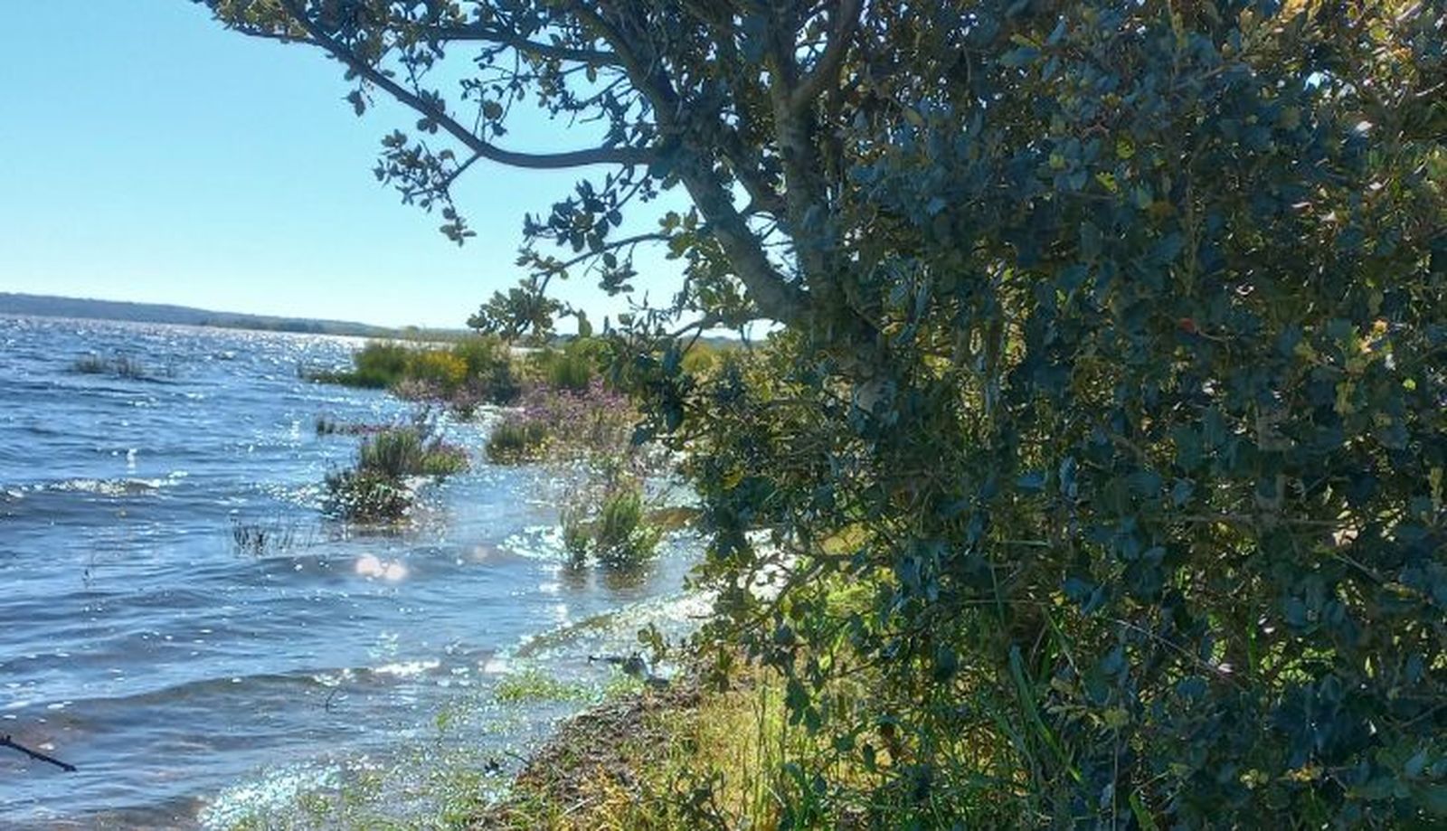 Sardón, zona del pantano 