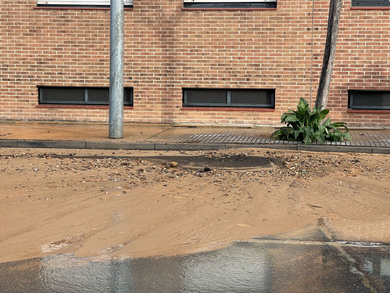 reventon-en-el-paseo-cesar-real-de-la-riva-9