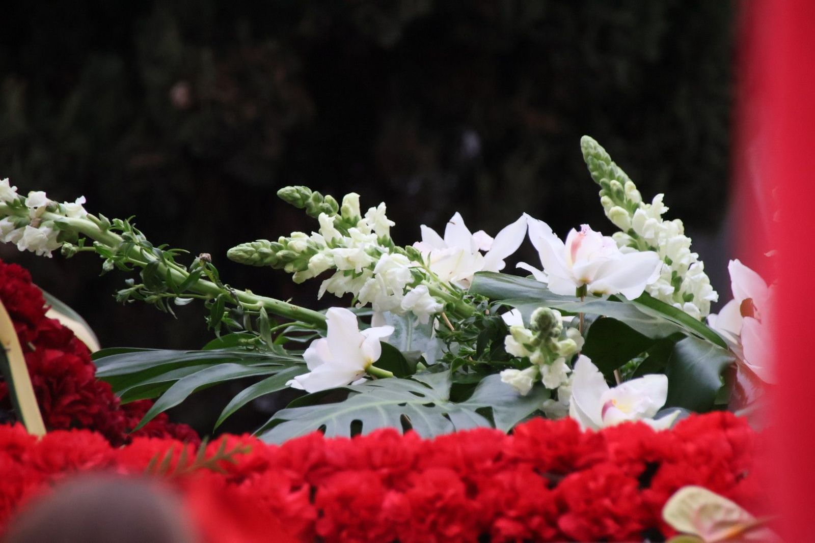 20240330172725-img-5976