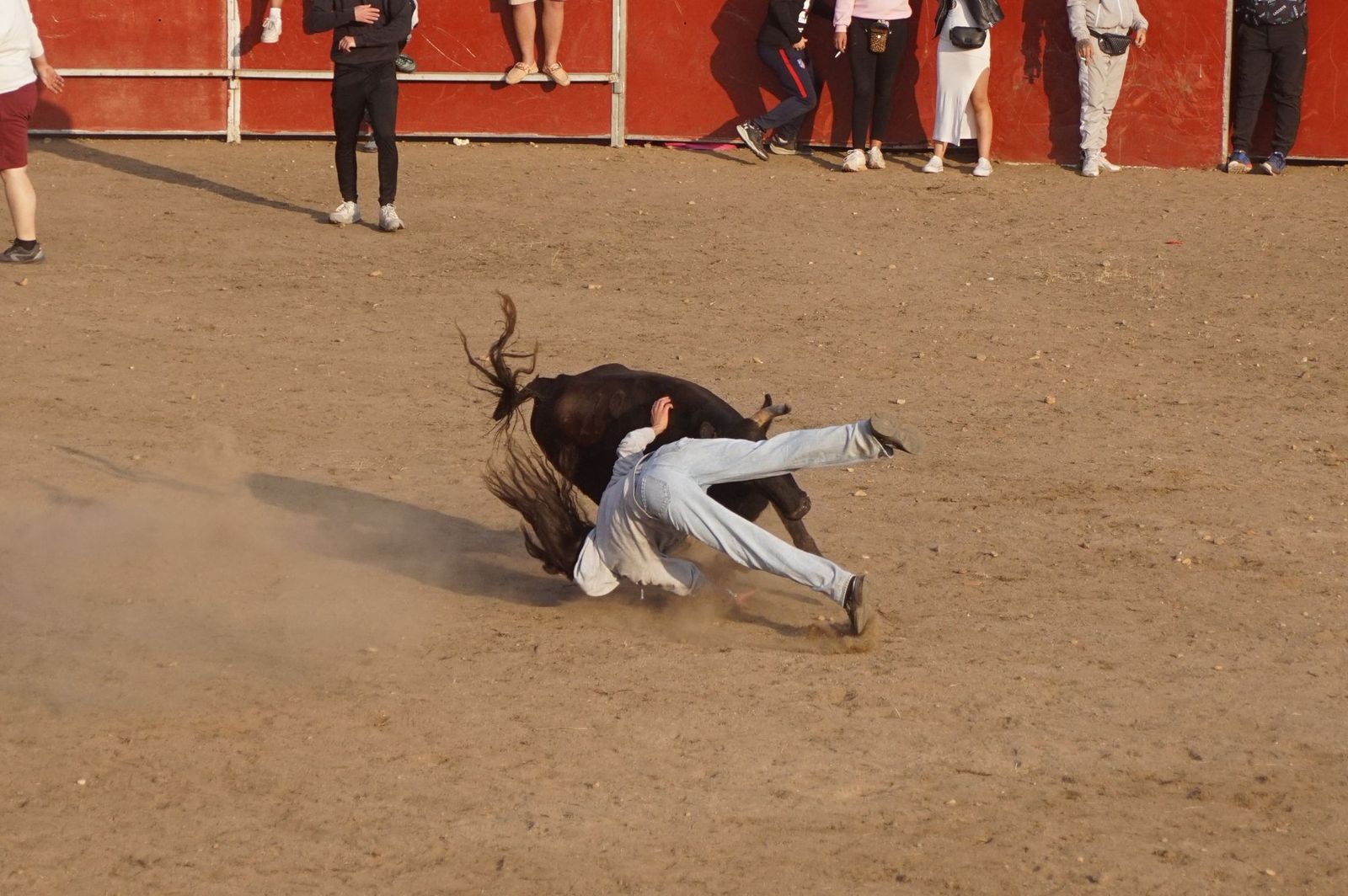 Carreras, risas y tradición: así se ha vivido El Toro en Santa Marta