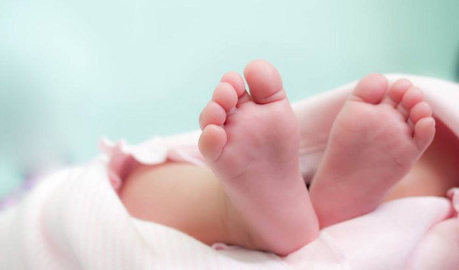 Pies de bebe Pies de bebe