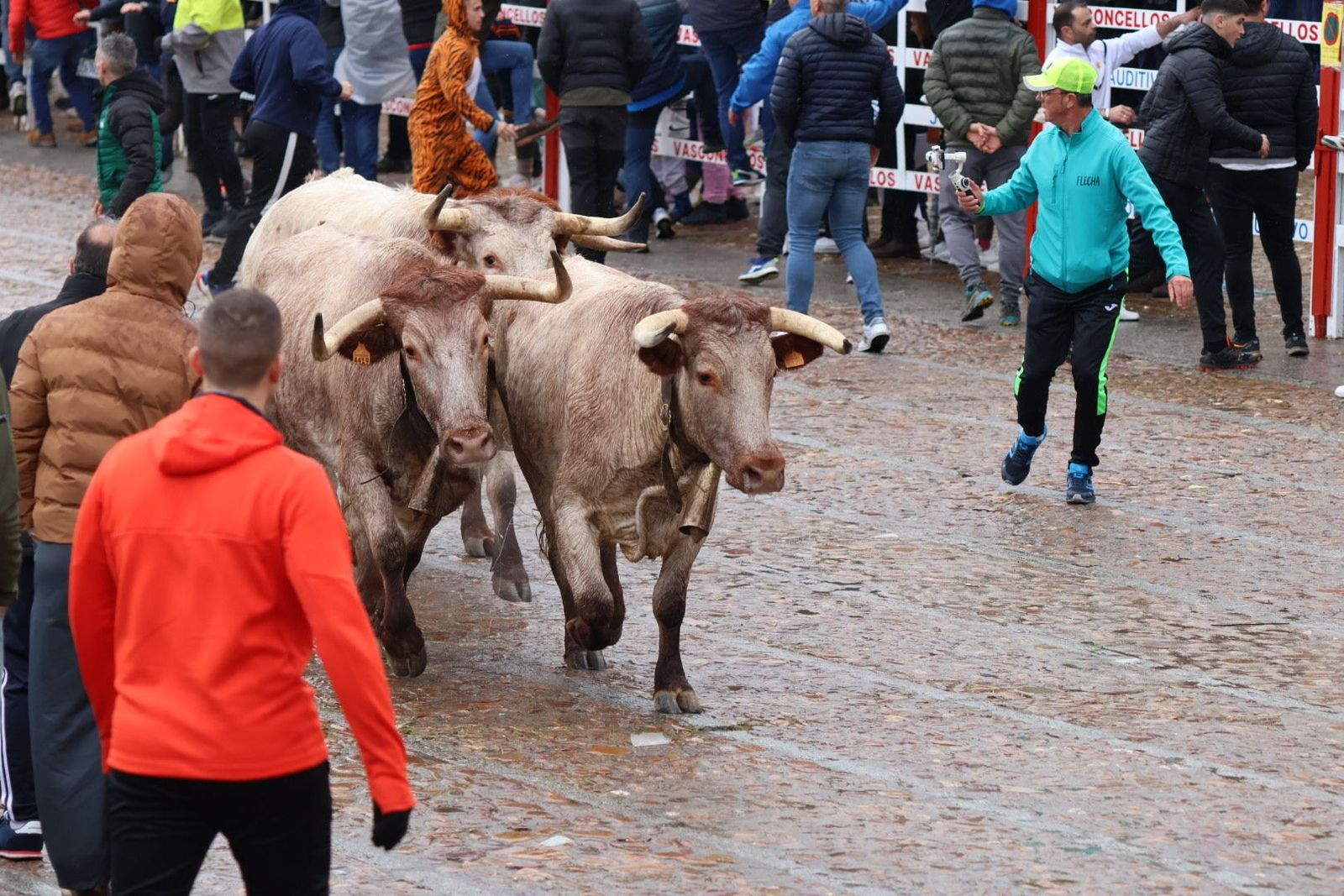 20240211113317-img-6081