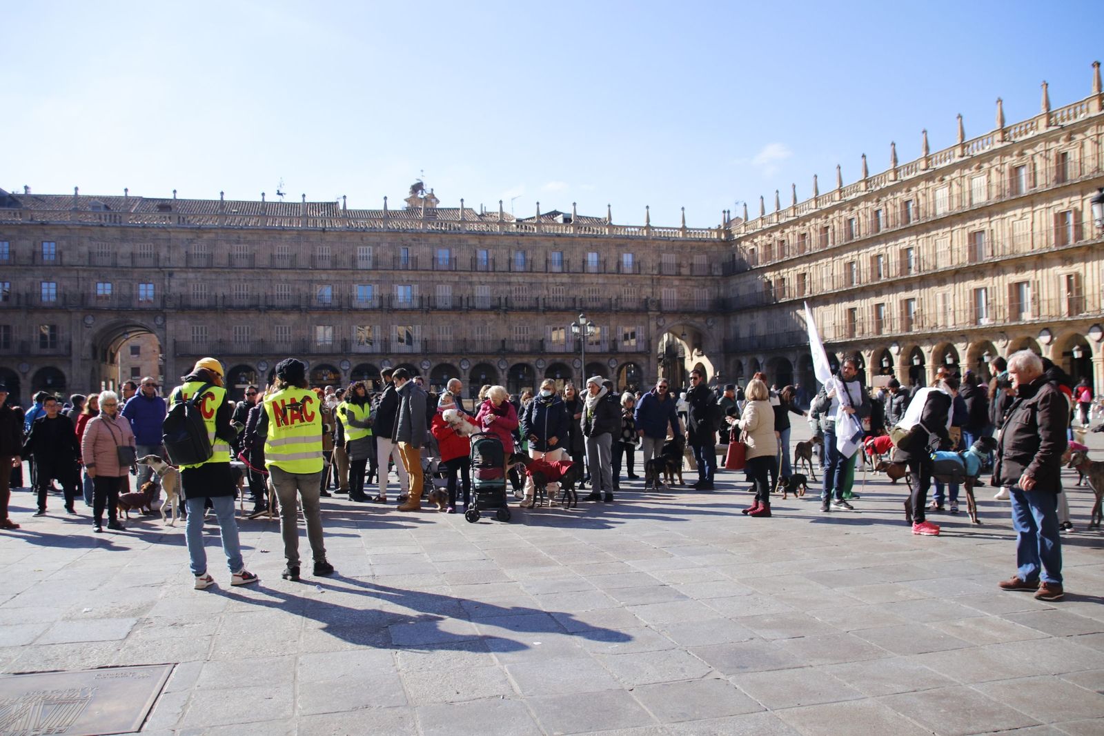 20230205121404-mg-5705