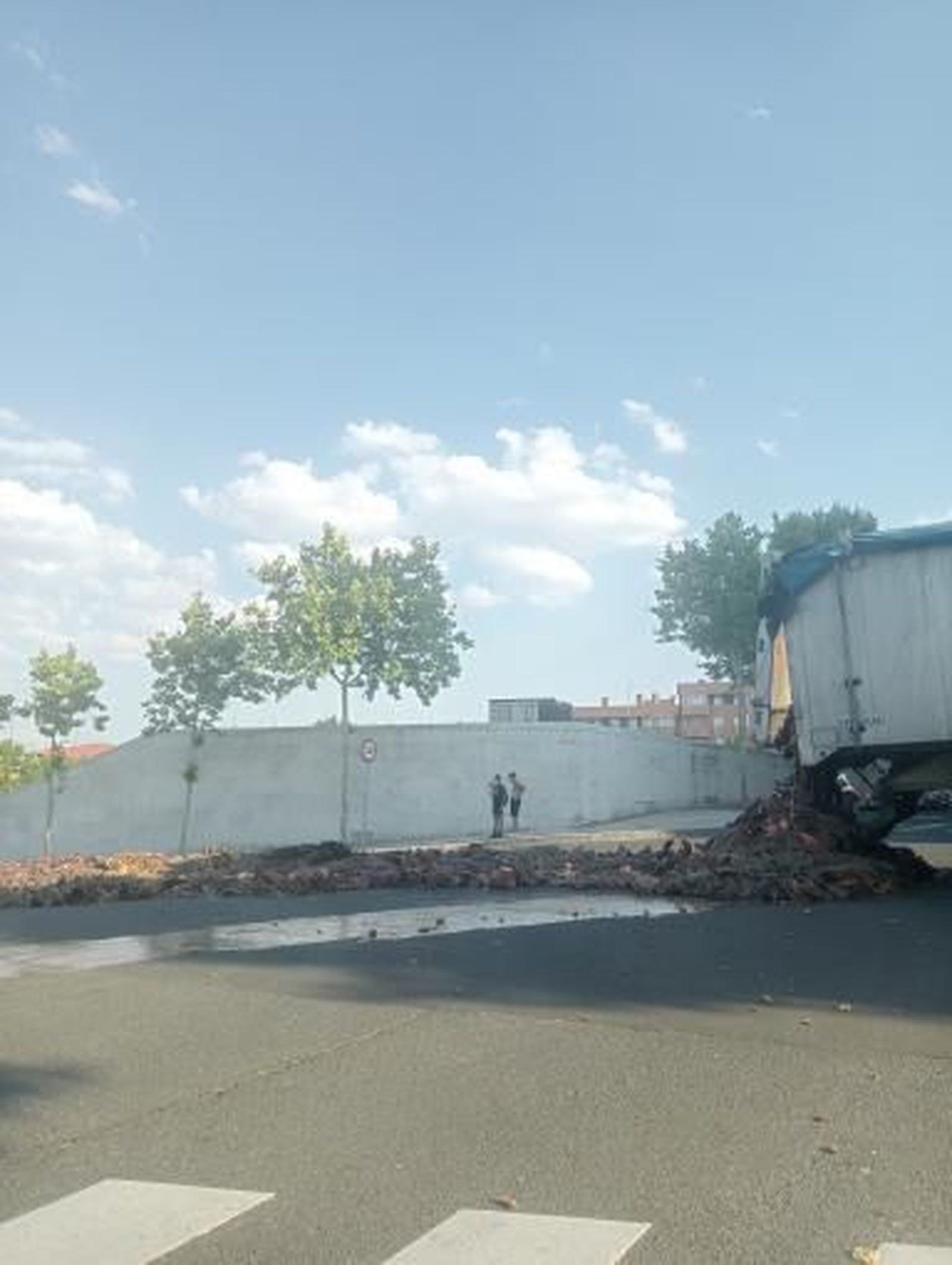 whatsapp-image-2024-07-24-at-20-14-47