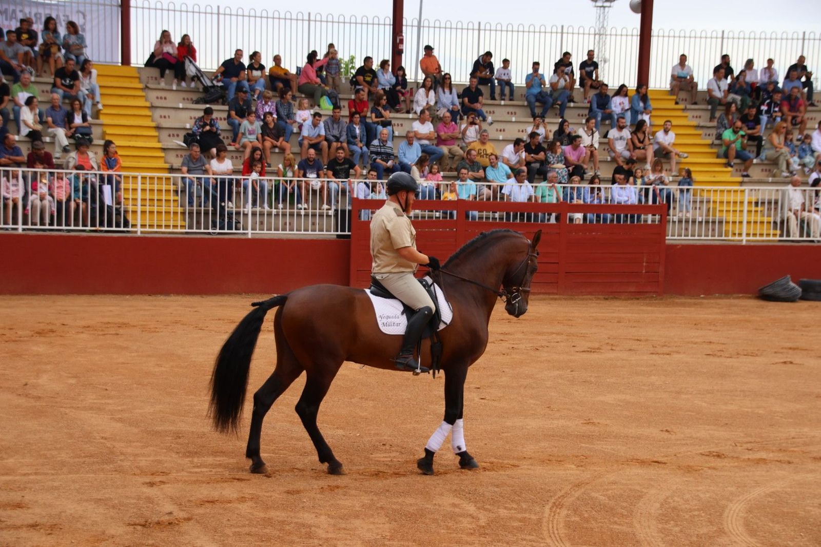 20230902111038-img-7040